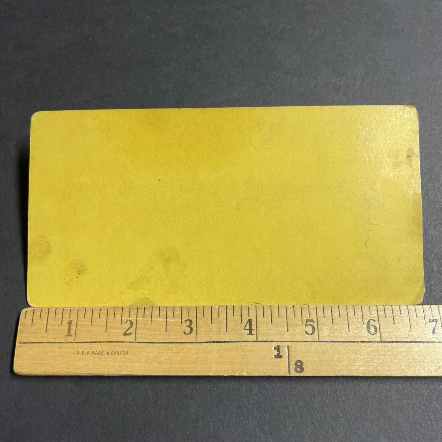 Antique 1870s Butterfly Gardens Boston Massachusetts Stereoview Photo Card P4891
