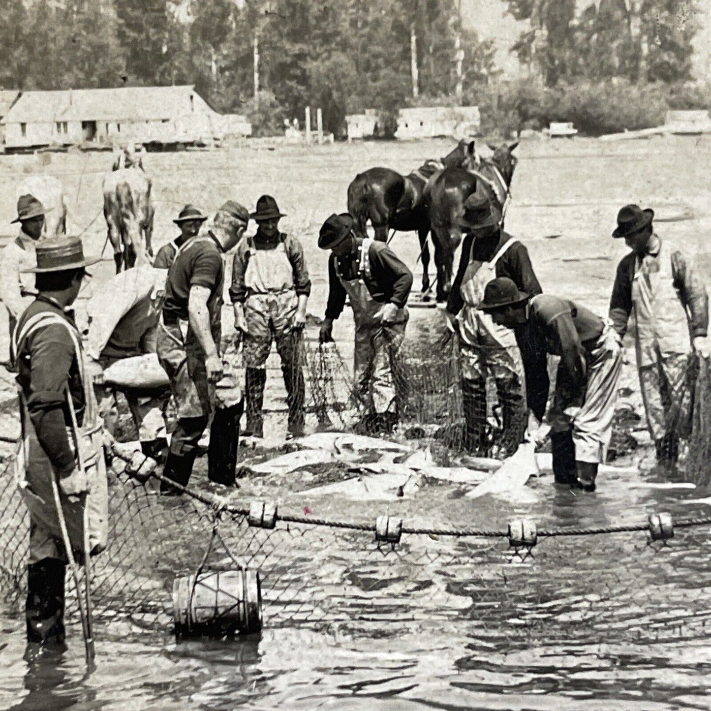 Antique 1906 Men Catching Salmon Columbia River OR Stereoview Photo Card P4268
