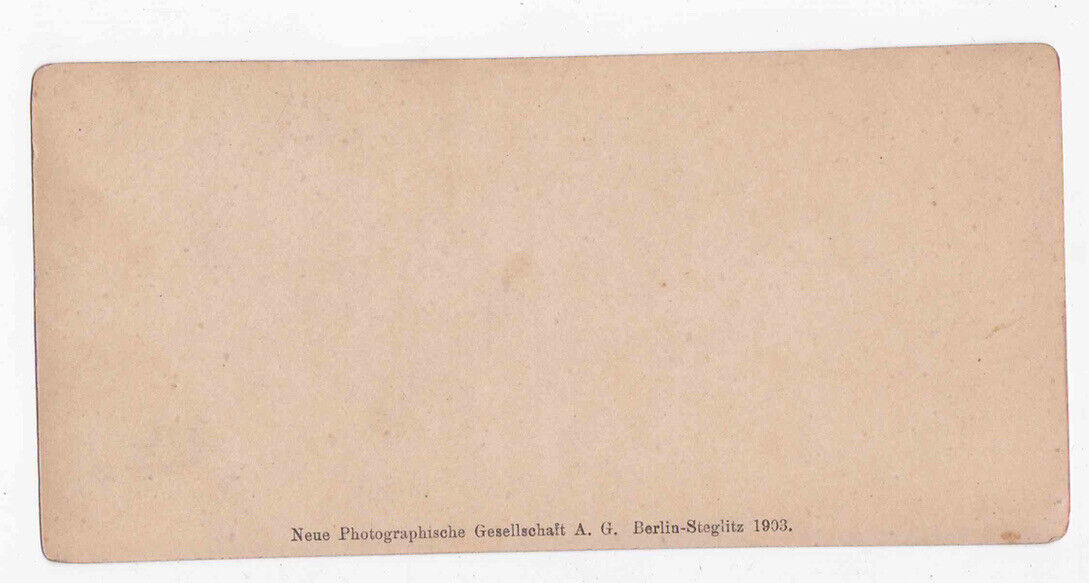 Antique 1903 Statue of St. Francis Apollinaris Mountain Germany Stereo Card P339