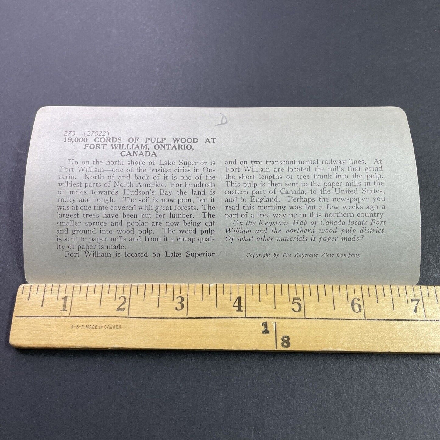 Antique 1910s Millions Of Logs Thunder Bay Ontario Stereoview Photo Card P3731