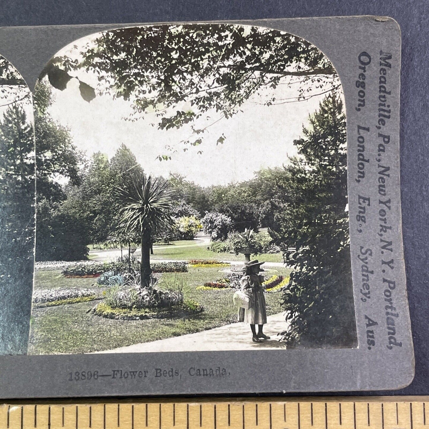 Halifax Public Gardens Nova Scotia Stereoview Canada Antique c1910s X4139