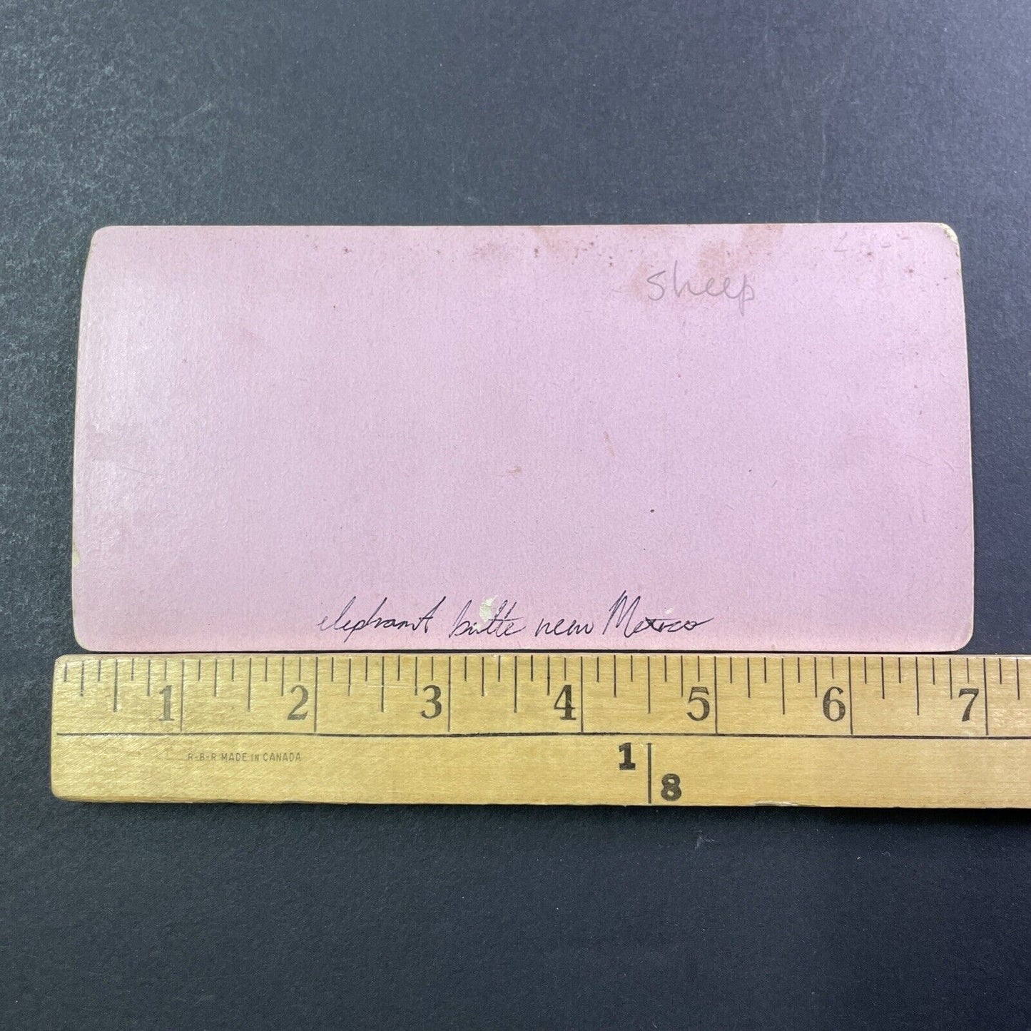 Elephant Butte New Mexico Ranch House Stereoview Antique c1870 X2433