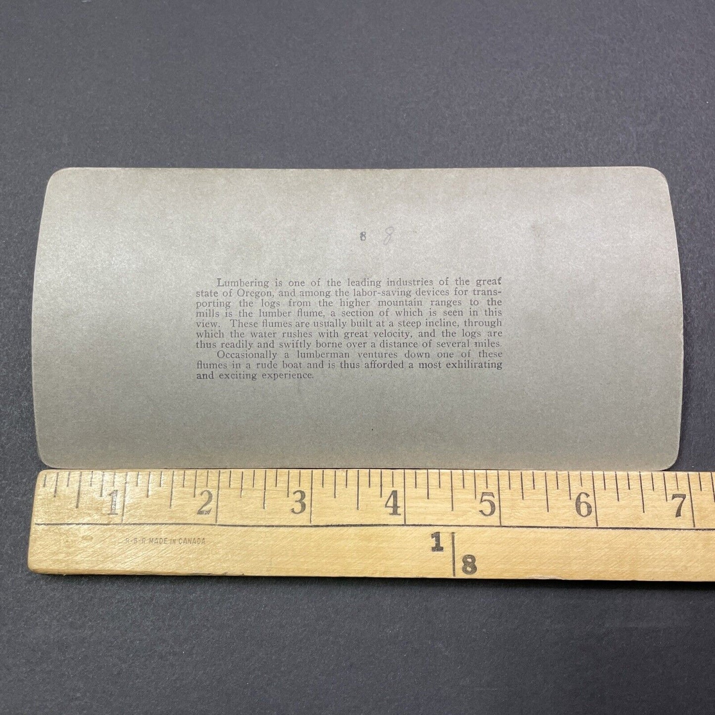 Antique 1896 Timber Shoot Logging Trees In Oregon Stereoview Photo Card V2039