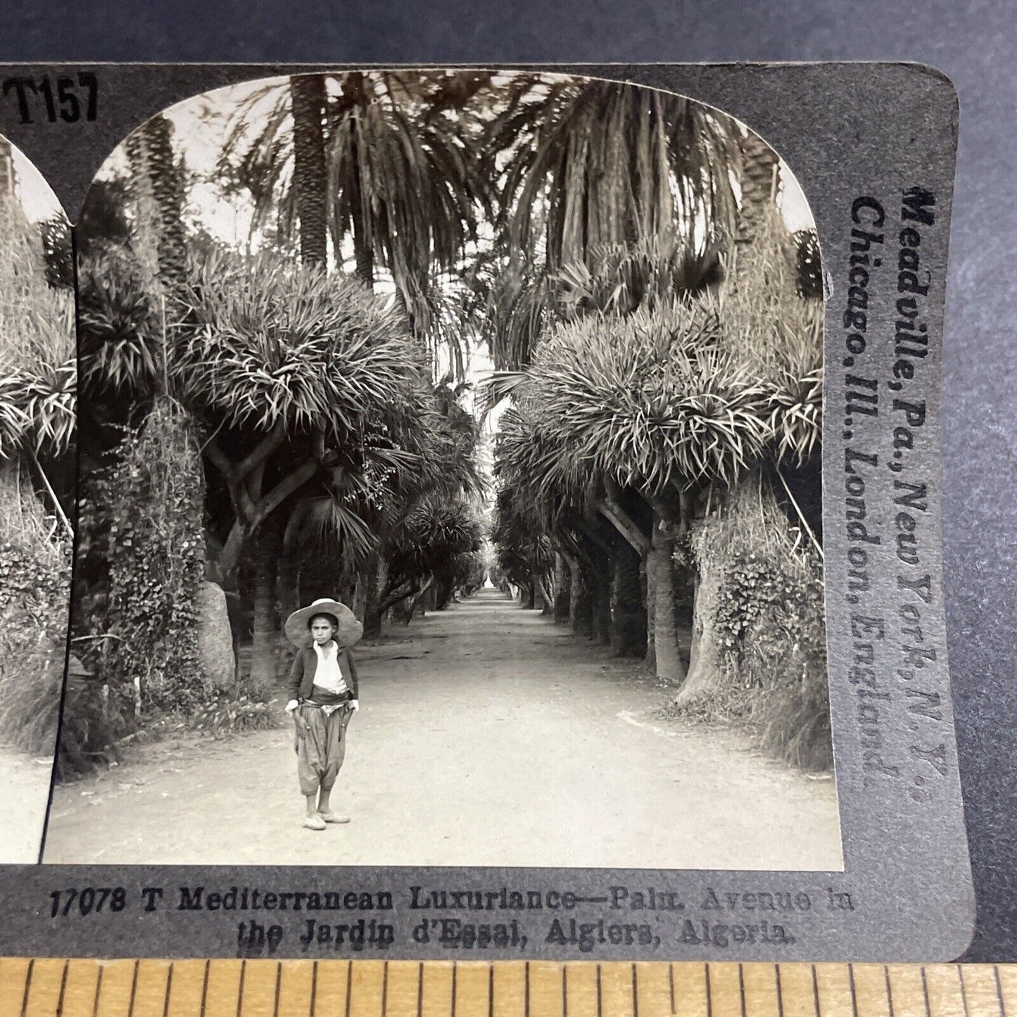 Antique 1920s Algerian Boy In Algiers Algeria Stereoview Photo Card P5104