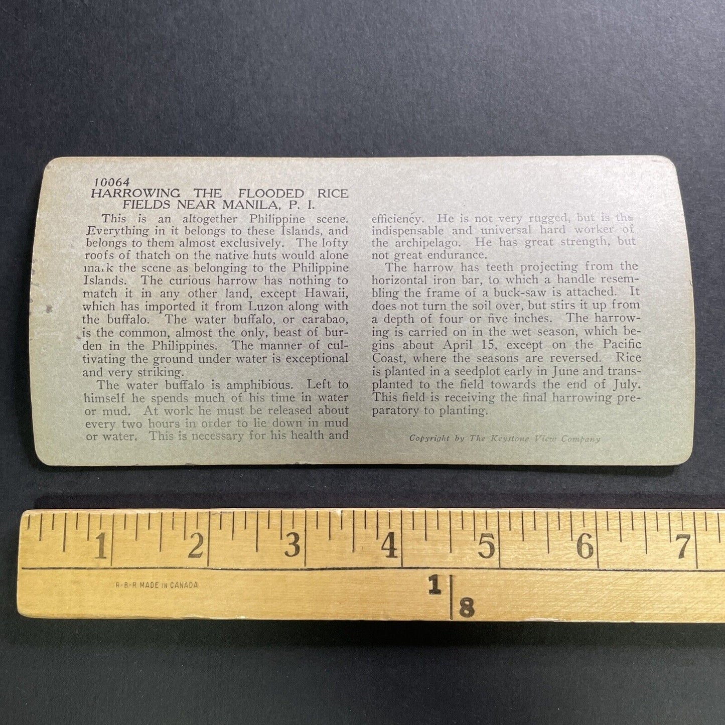 Antique 1918 Rice Farming Manila Philippines Stereoview Photo Card P1568