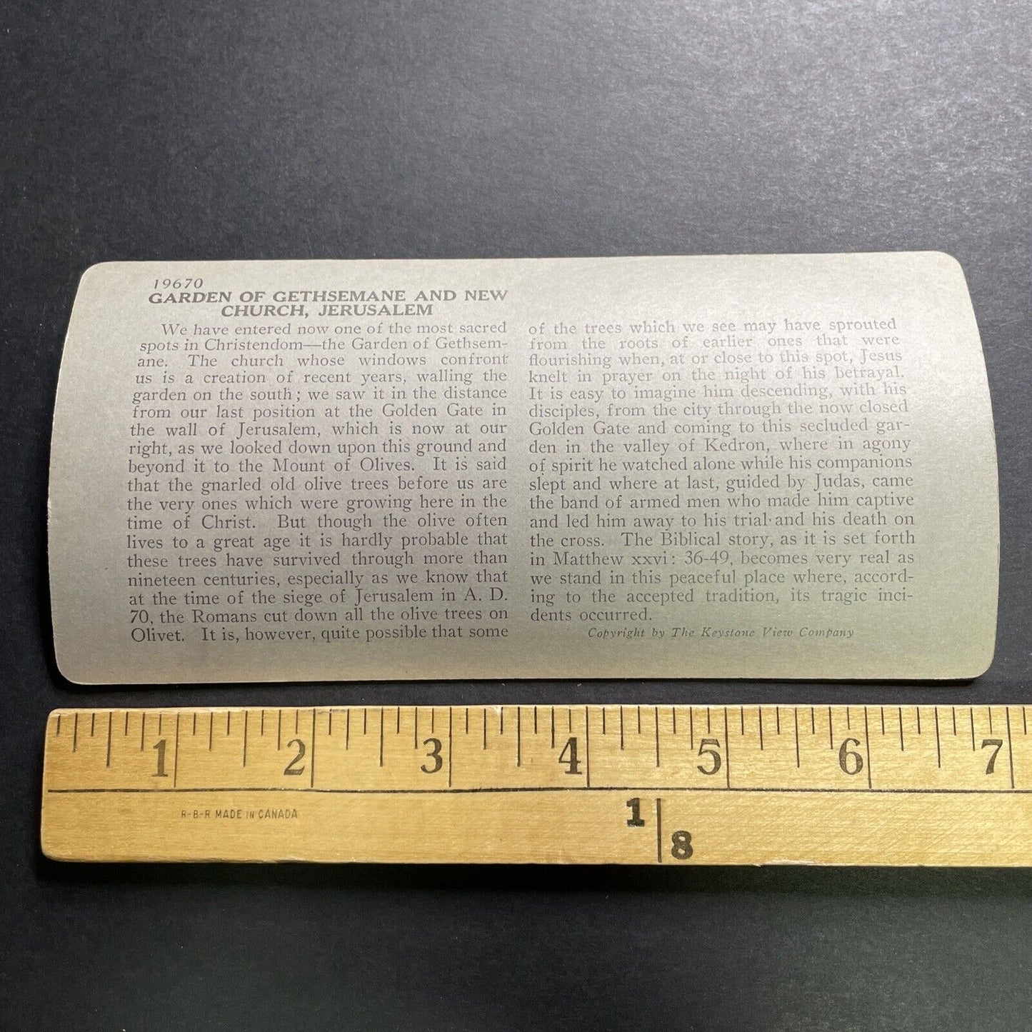 Antique 1918 Garden Of Gethsemane Jerusalem Stereoview Photo Card P1350