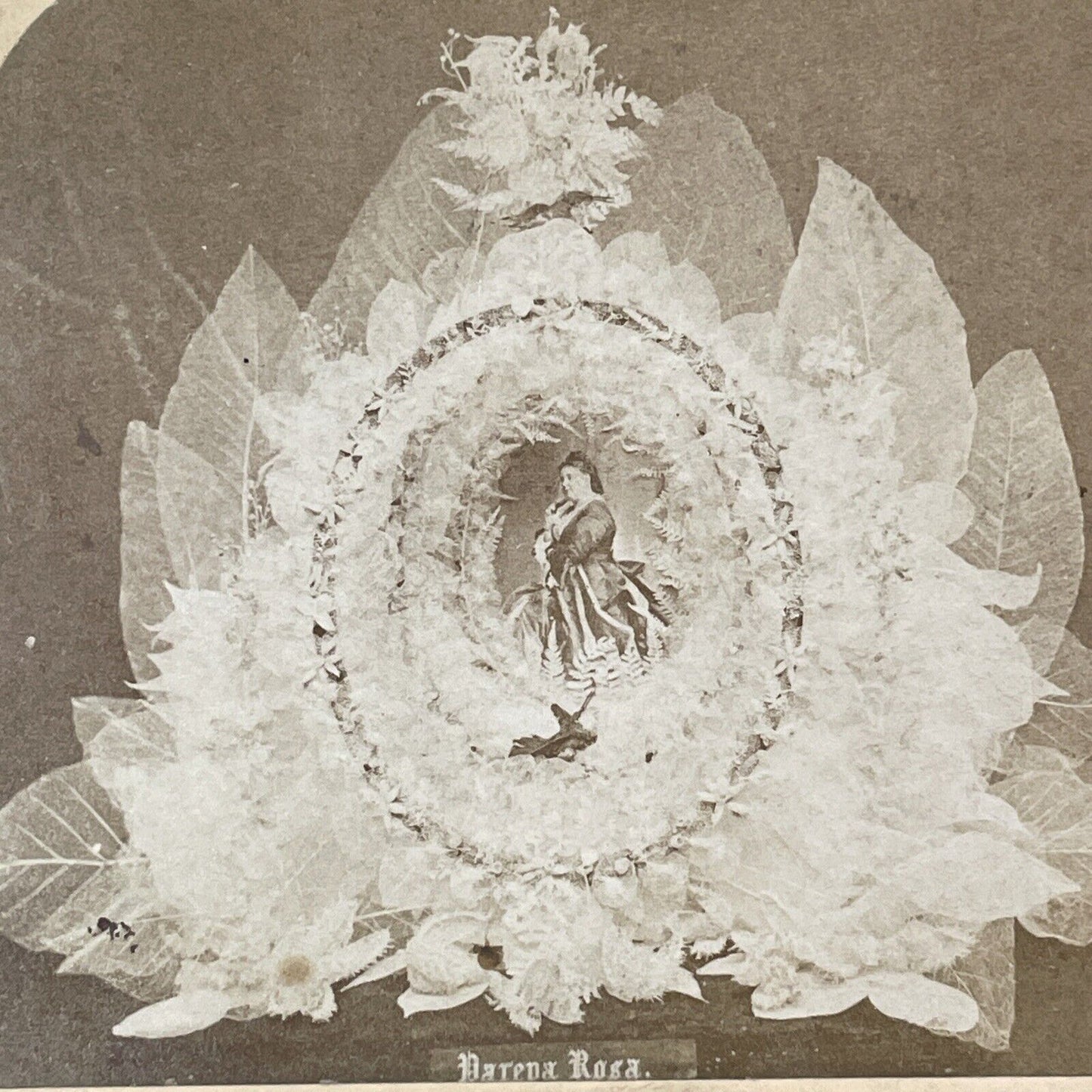 Euphrosyne Parepa-Rosa Funeral Coffin Flowers Stereoview Antique c1874 X2748