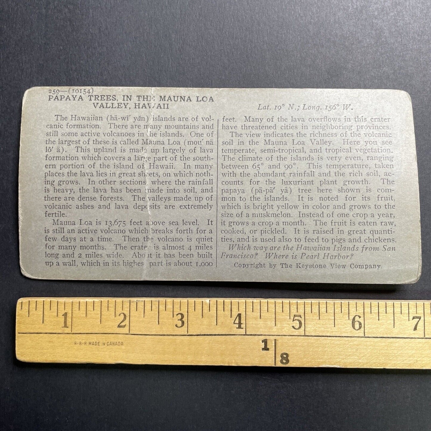 Antique 1921 Pahala Hawaii Papaya Trees Stereoview Photo Card P1665