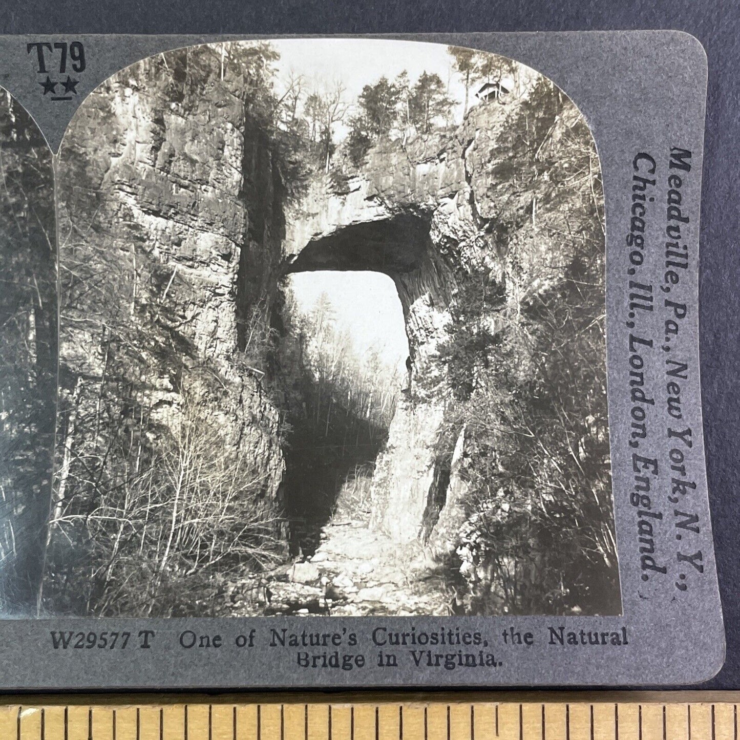 Natural Bridge State Park Virginia Stereoview H.C. White Antique c1910s Y1169