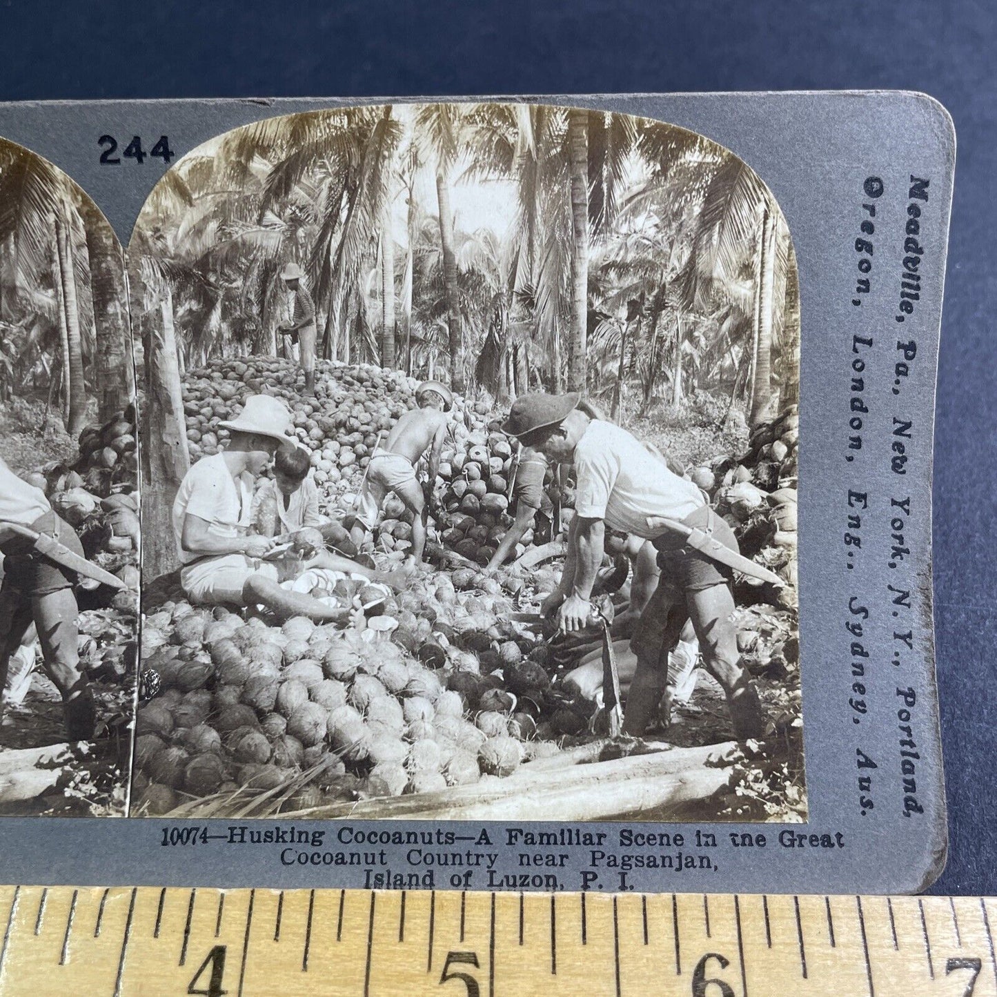Antique 1906 Coconut Grove Pagsanjan Philippines Stereoview Photo Card P2188