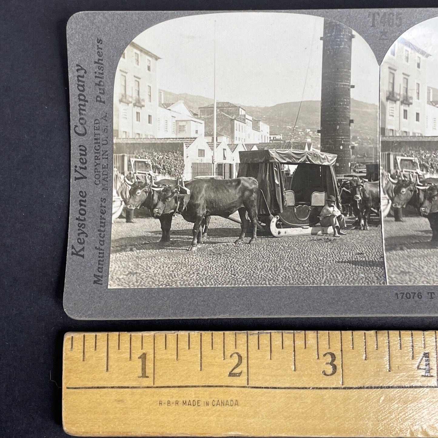 Antique 1905 Oxen Taxi Funchal Madeira Portugal Stereoview Photo Card P912