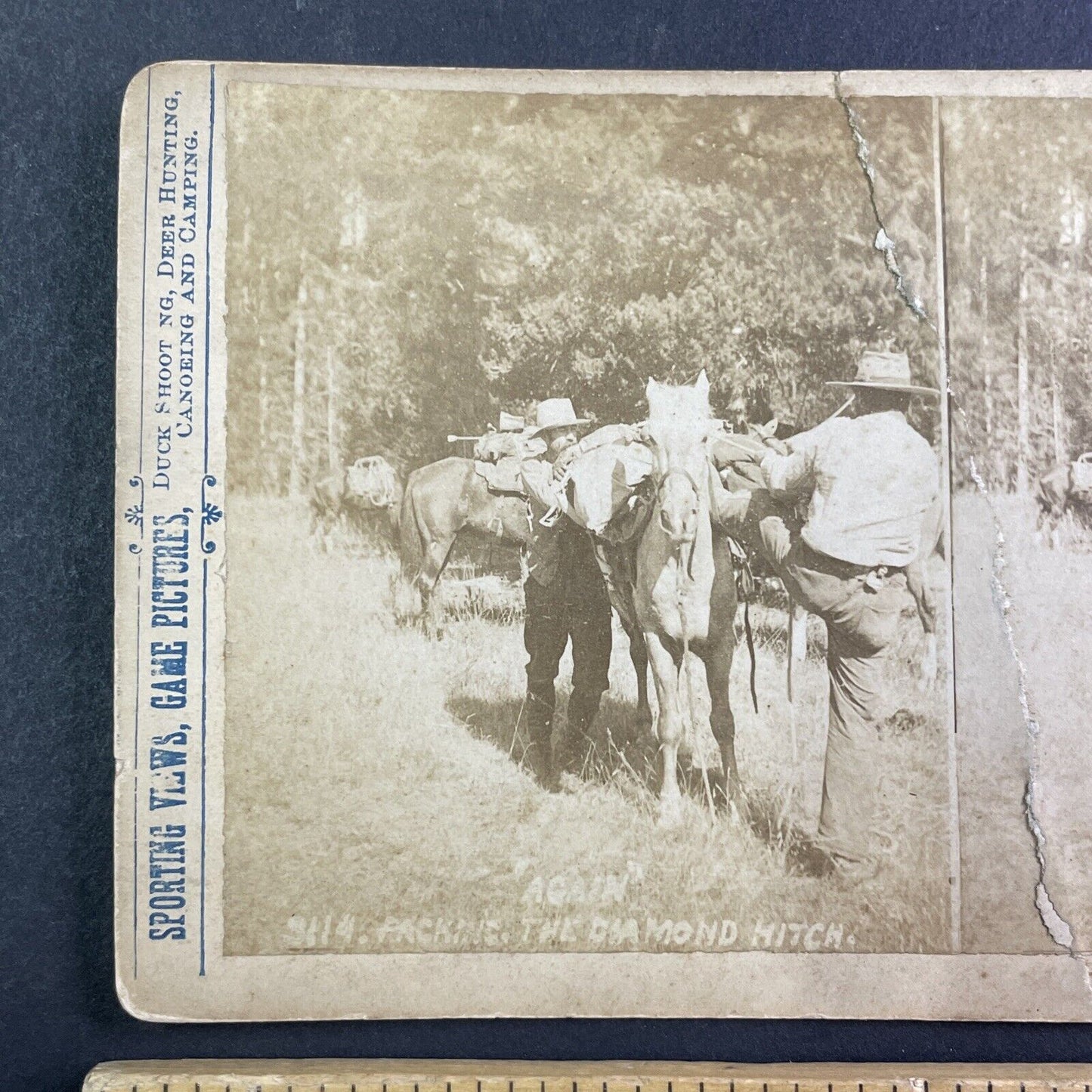 T.W. Ingersoll Self-Portrait Packing Horse Stereoview Antique c1888 Y427 CREASE