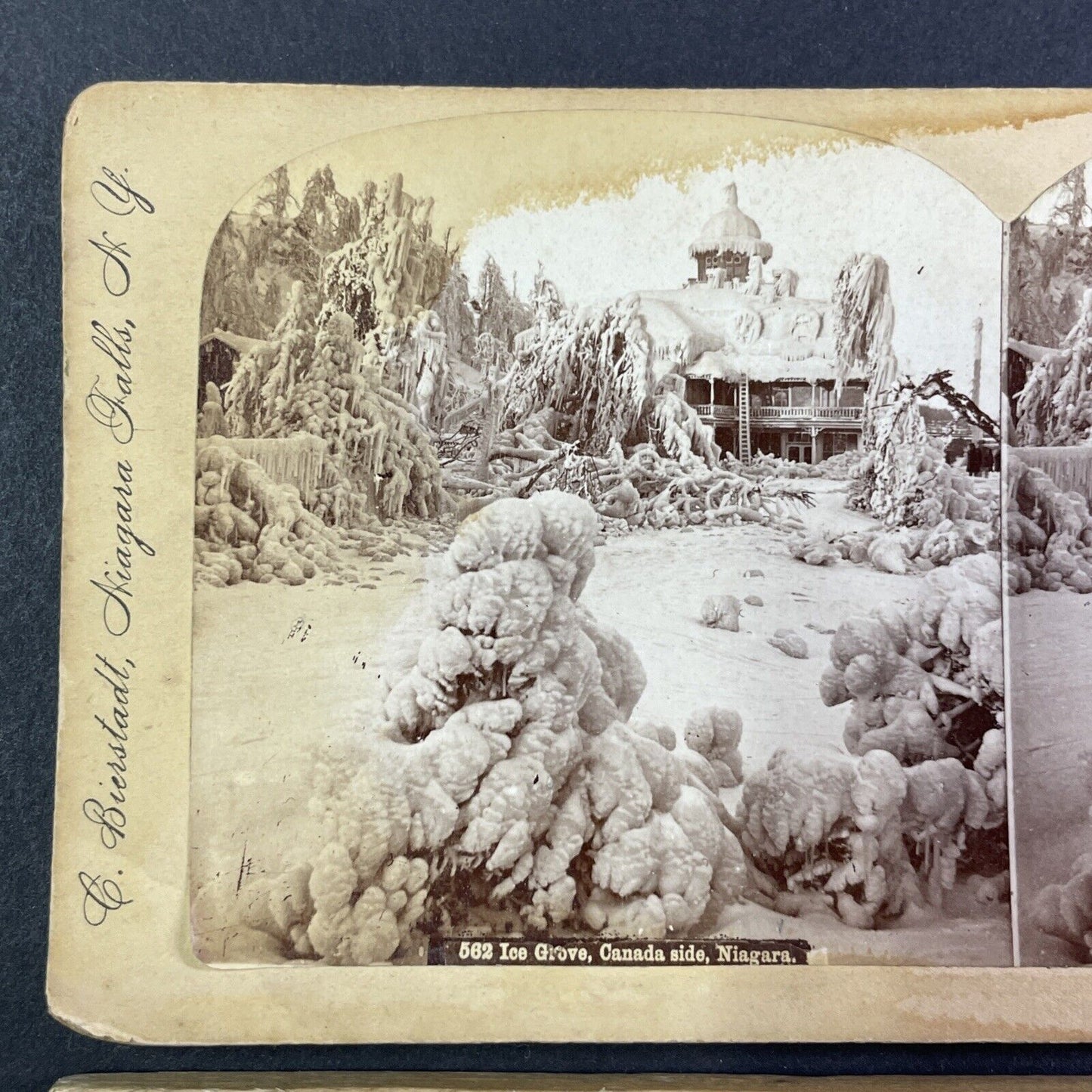 House Covered Severe Ice Storm Stereoview Niagara Falls Ontario c1870s Y1471