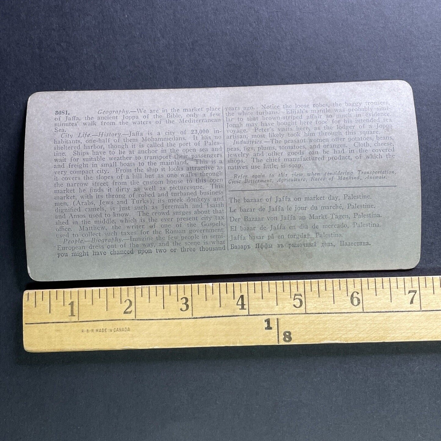 Antique 1905 Jaffa Marketplace Israel Palestine Stereoview Photo Card P1743