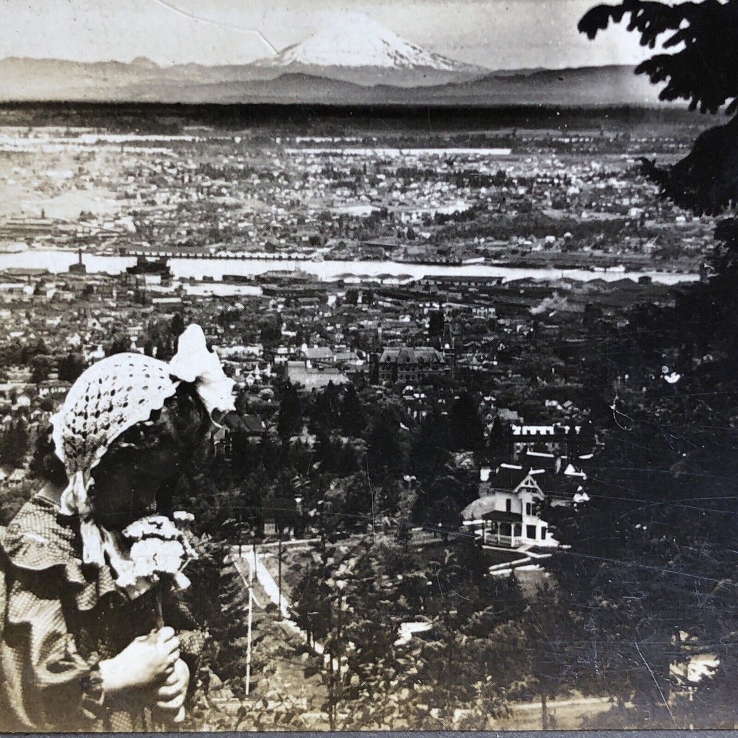 Antique 1898 Portland Oregon City View Birds Eye Stereoview Photo Card P1955