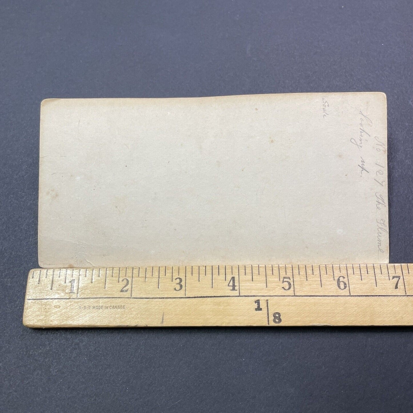 Antique 1860s Franconia Notch Flume Before The Flood Stereoview Photo Card V1980