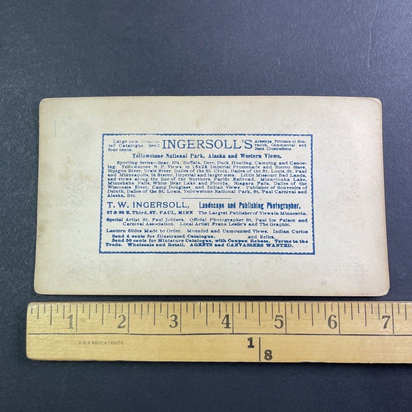 Castle Rock Camp Douglas Wisconsin Stereoview T.W. Ingersoll c1888 Y426