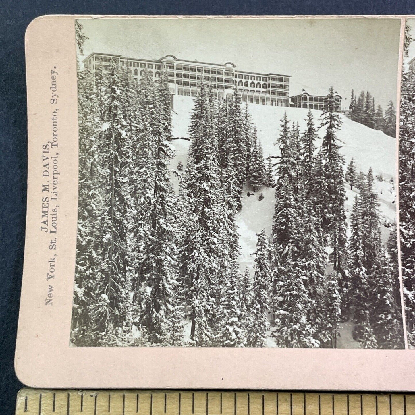 Schatzalp Tuberculosis Sanatorium Stereoview Davos Swiss Antique c1901 X2455