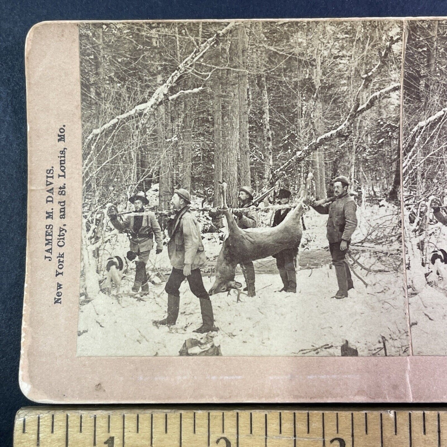 Hunters Carry a Deer in New Hampshire Stereoview Antique c1888 Y1393