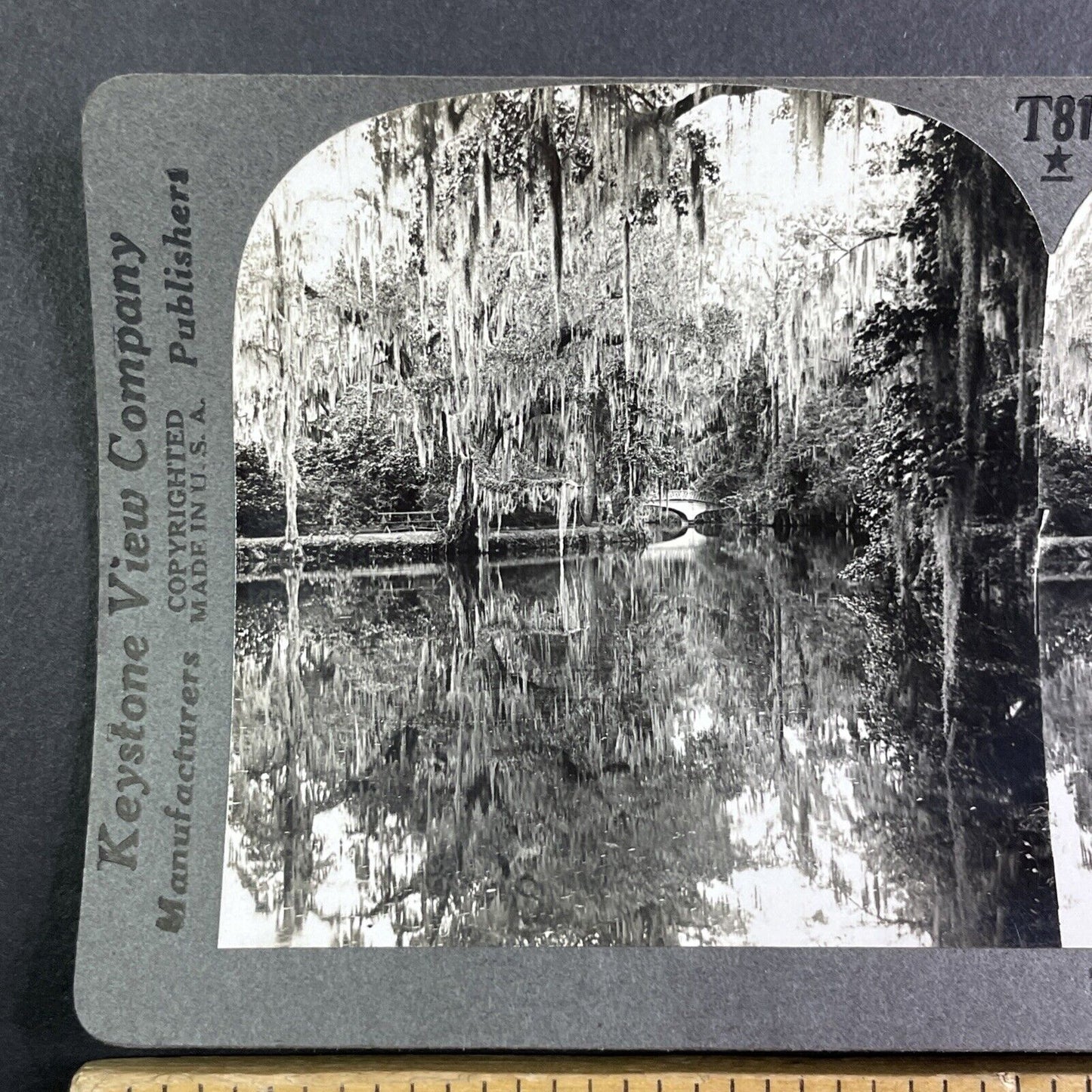 Magnolia Gardens in Charleston South Carolina Stereoview Antique c1910 Y1177
