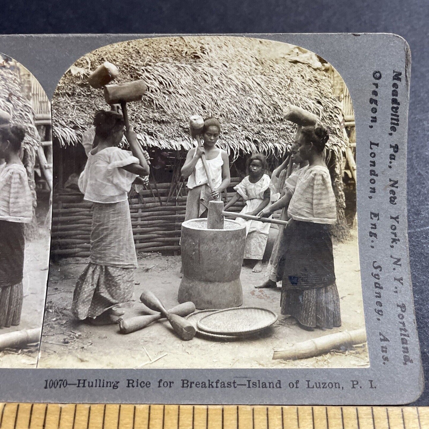 Antique 1906 Luzon Tribal Women Thresh Rice Stereoview Photo Card P5513