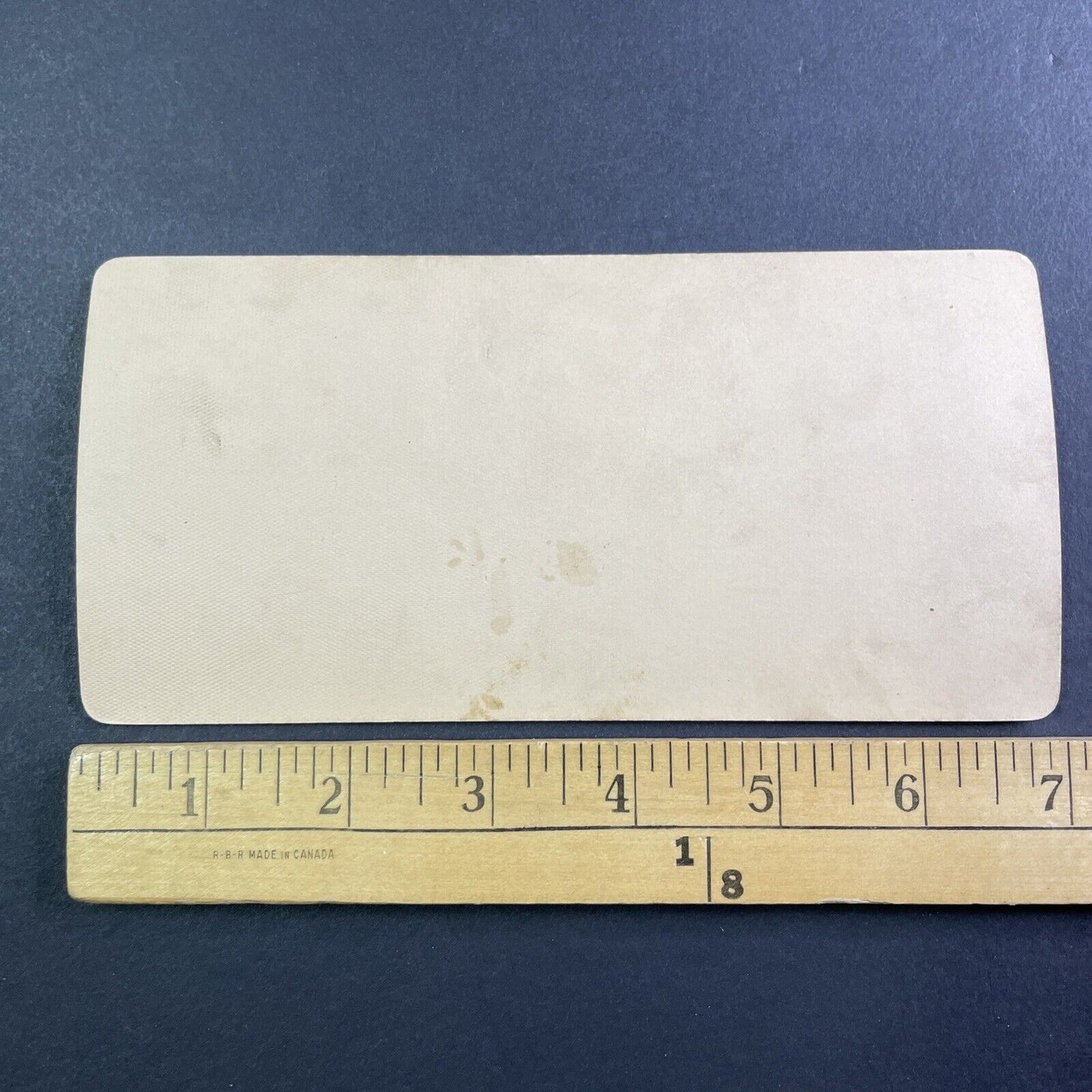 Horse Dying of Thirst Stereoview Boer War South Africa Antique c1901 Y161