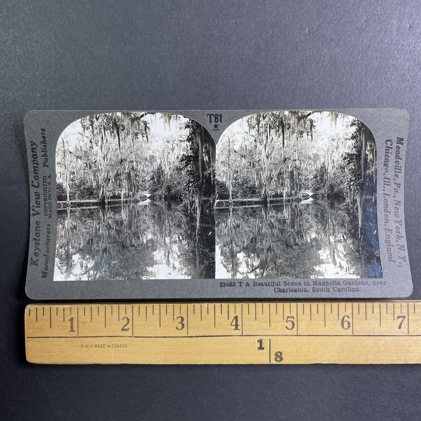 Magnolia Gardens in Charleston South Carolina Stereoview Antique c1910 Y1177