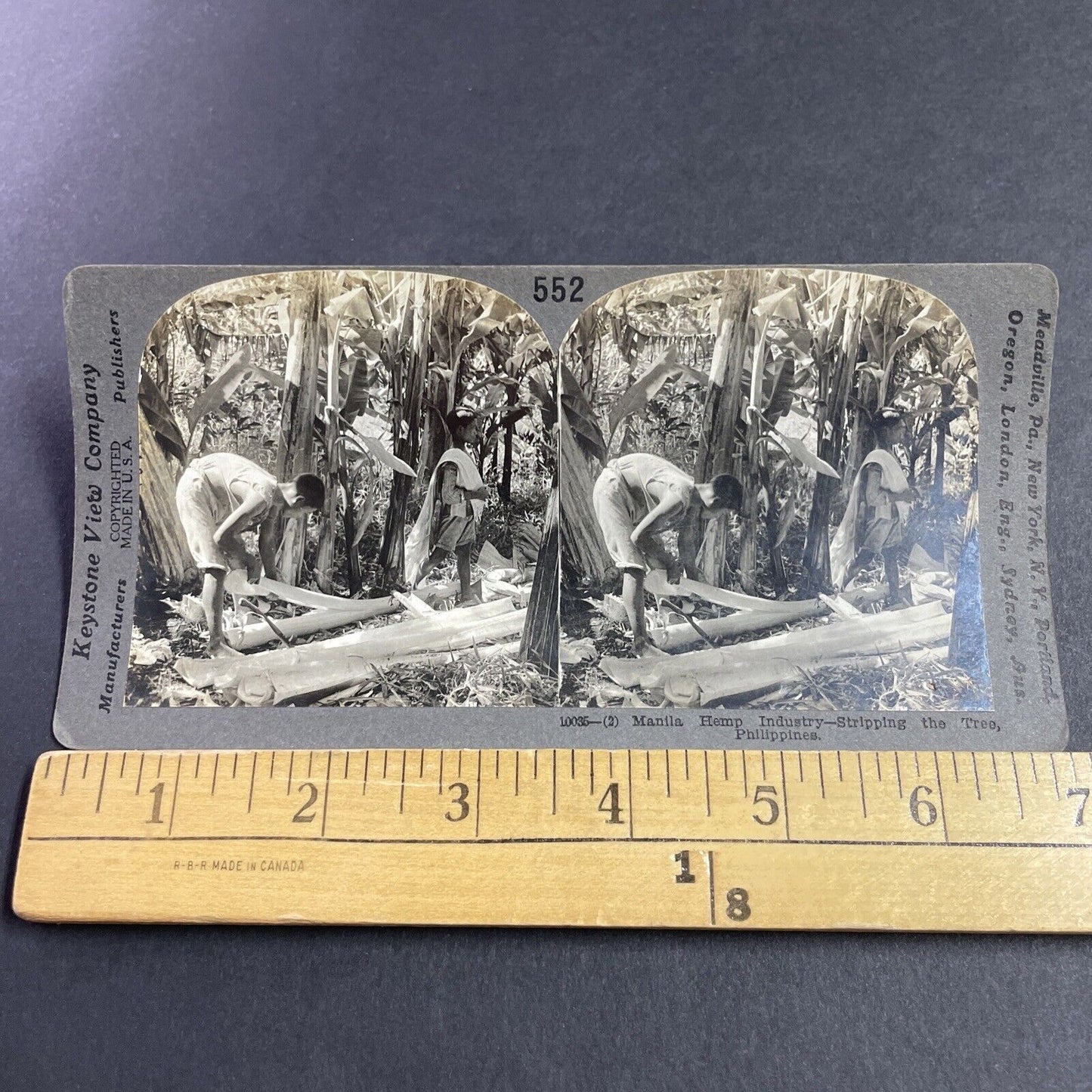 Antique 1920 Stripping Palm Trees Manila Philippines Stereoview Photo Card P3626
