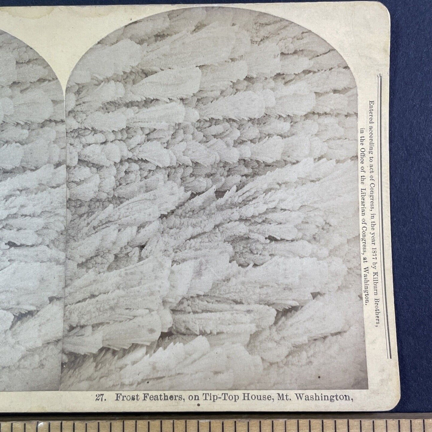 Frost Feathers Tip-Top House Mt Washington Stereoview New Hampshire c1877 Y2273