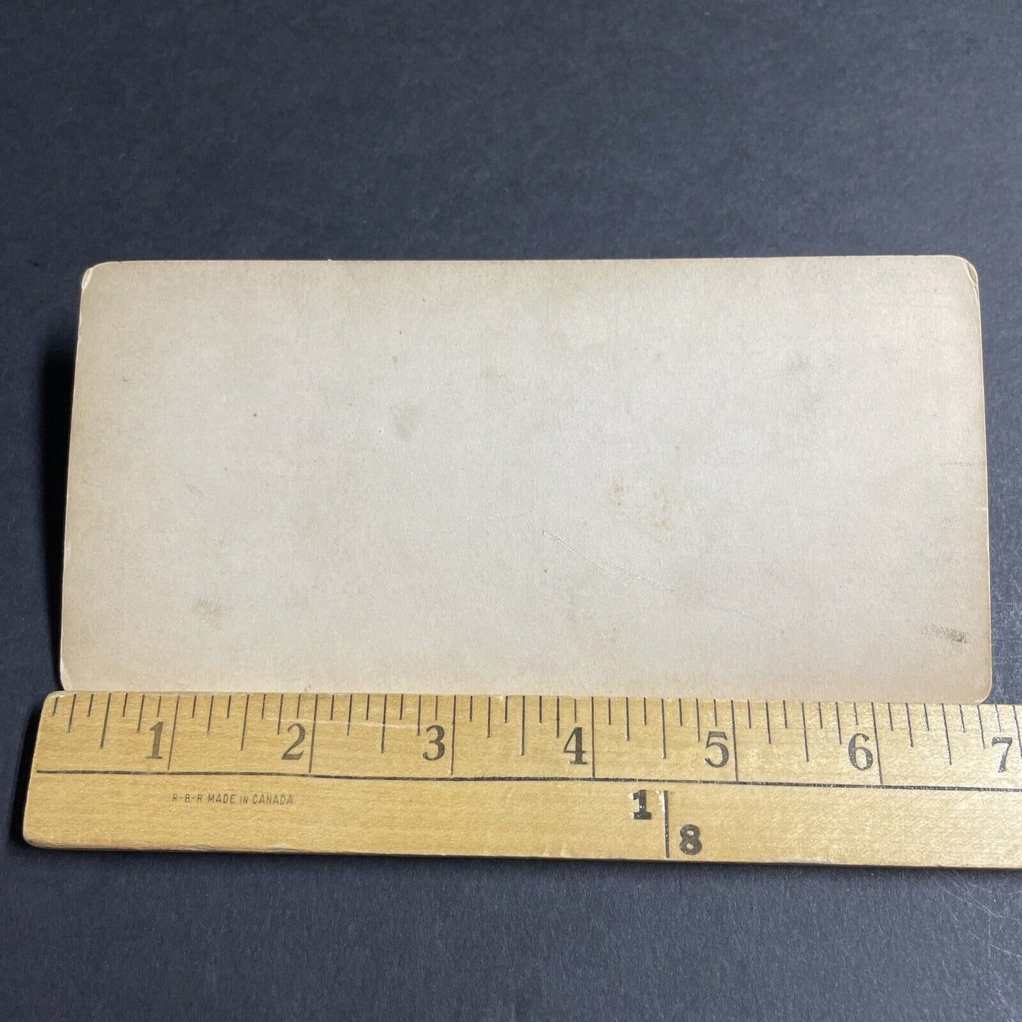 Antique 1877 William Almon Wheeler Flower Arrangement Stereoview Photo Card 4639