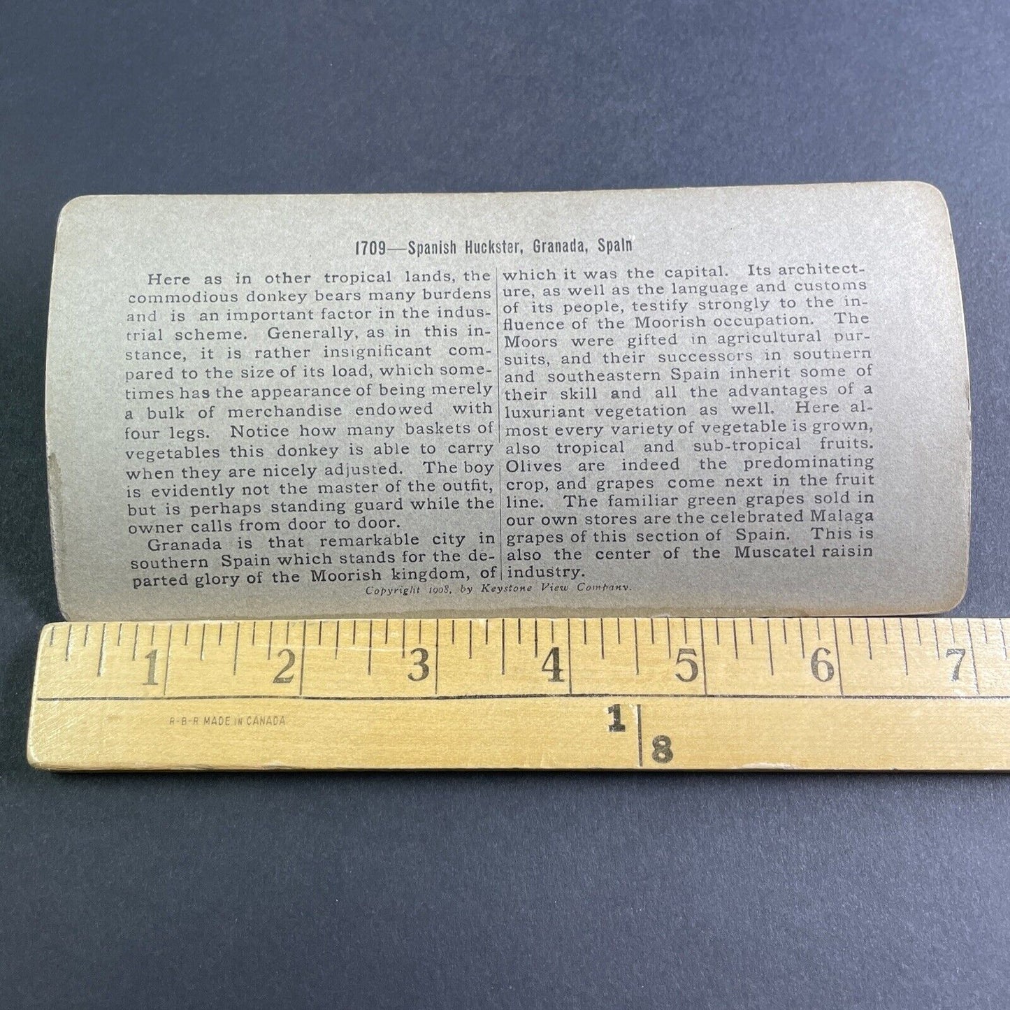Antique 1895 Boy Selling Fruits Granada Spain Stereoview Photo Card P2125
