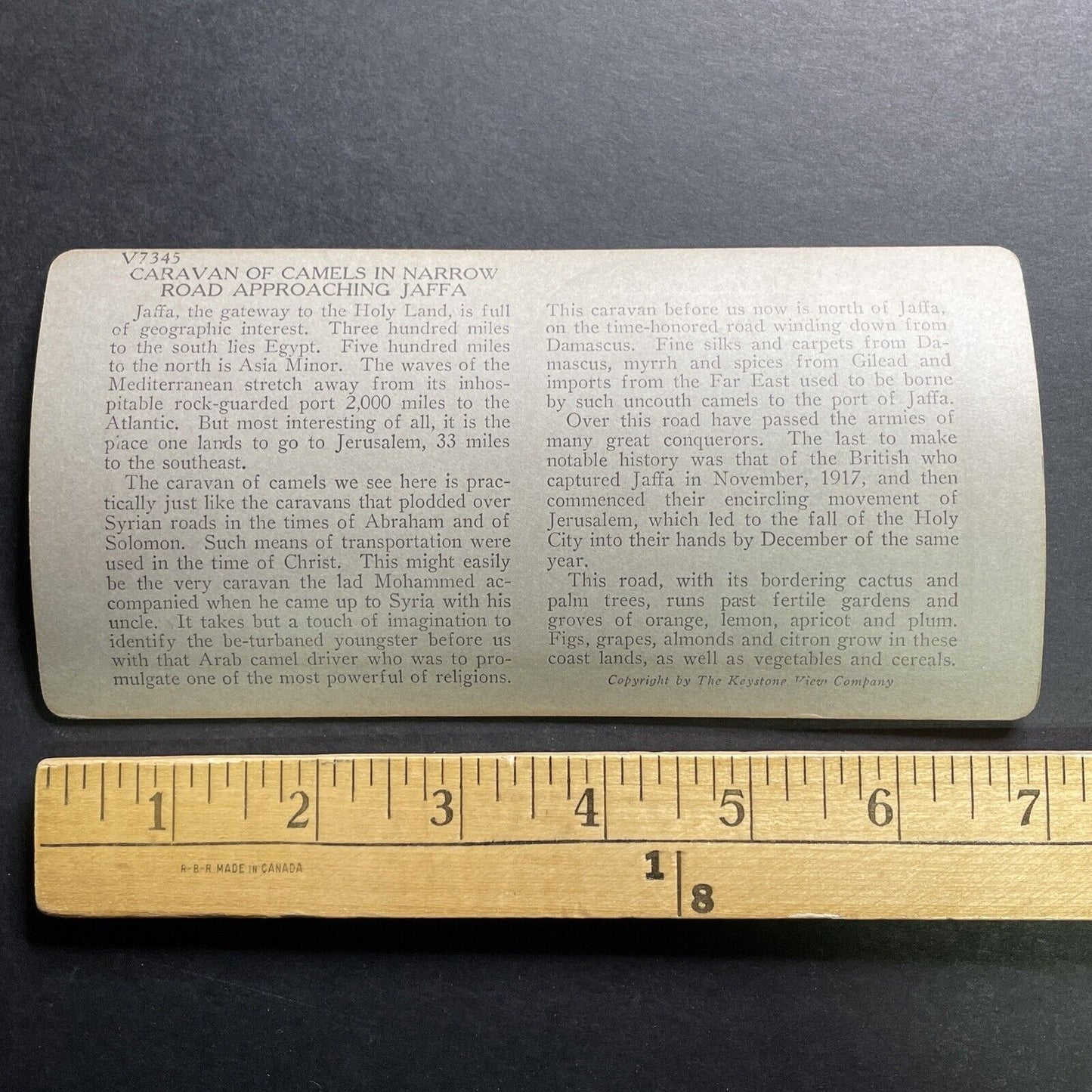 Antique 1918 Peddlars With Caravan Of Camels Jaffa Stereoview Photo Card P1266