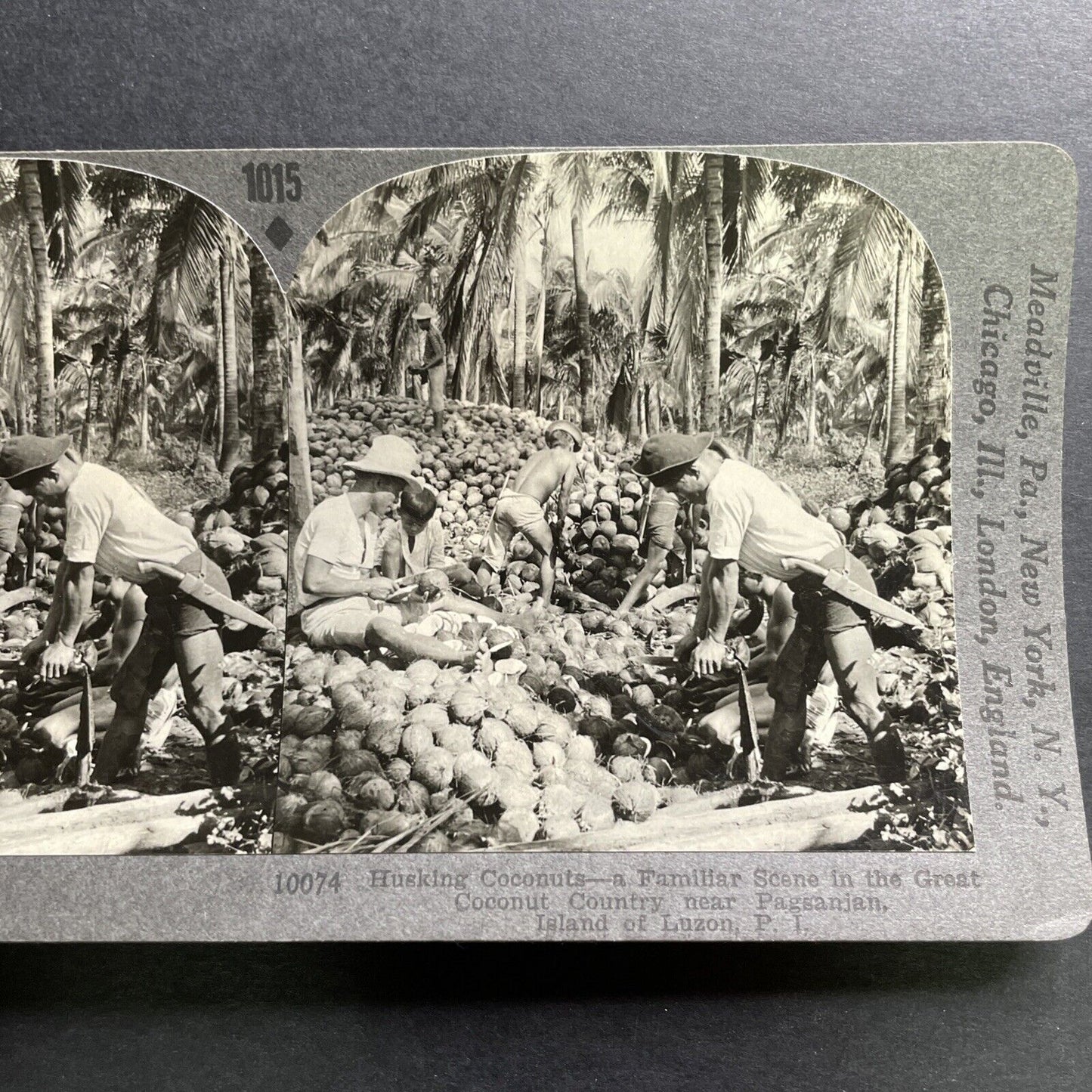 Antique 1906 Coconut Farming Pagsanjan Philippines Stereoview Photo Card P1468