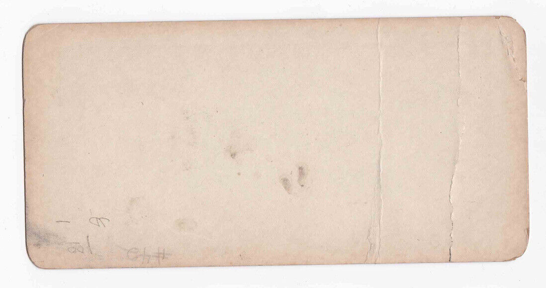 Antique 1905 King Rail Birds With Eggs In A Marsh Stereo Card P316