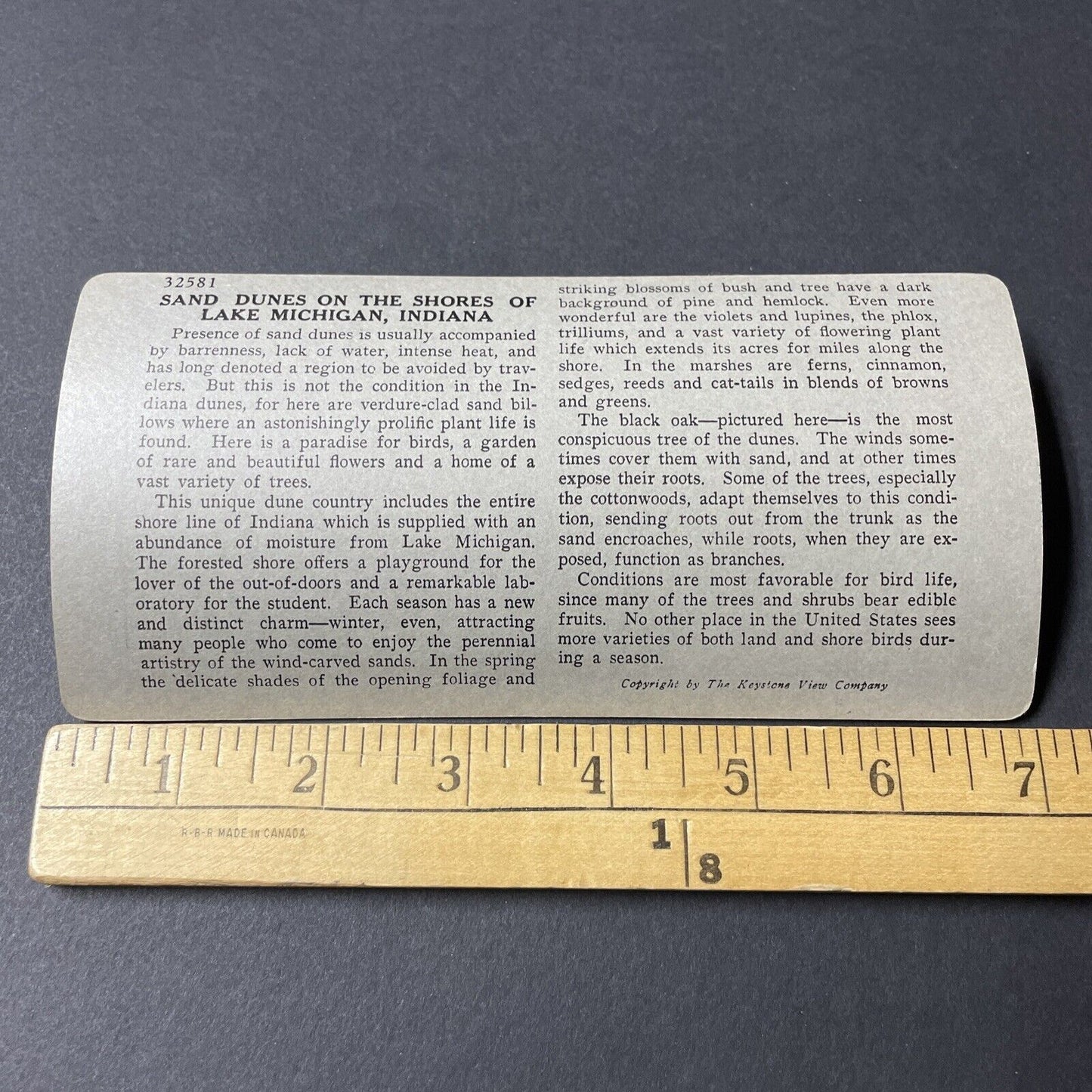 Antique 1920s Dune Acres Indiana Lake Michigan Stereoview Photo Card V2602