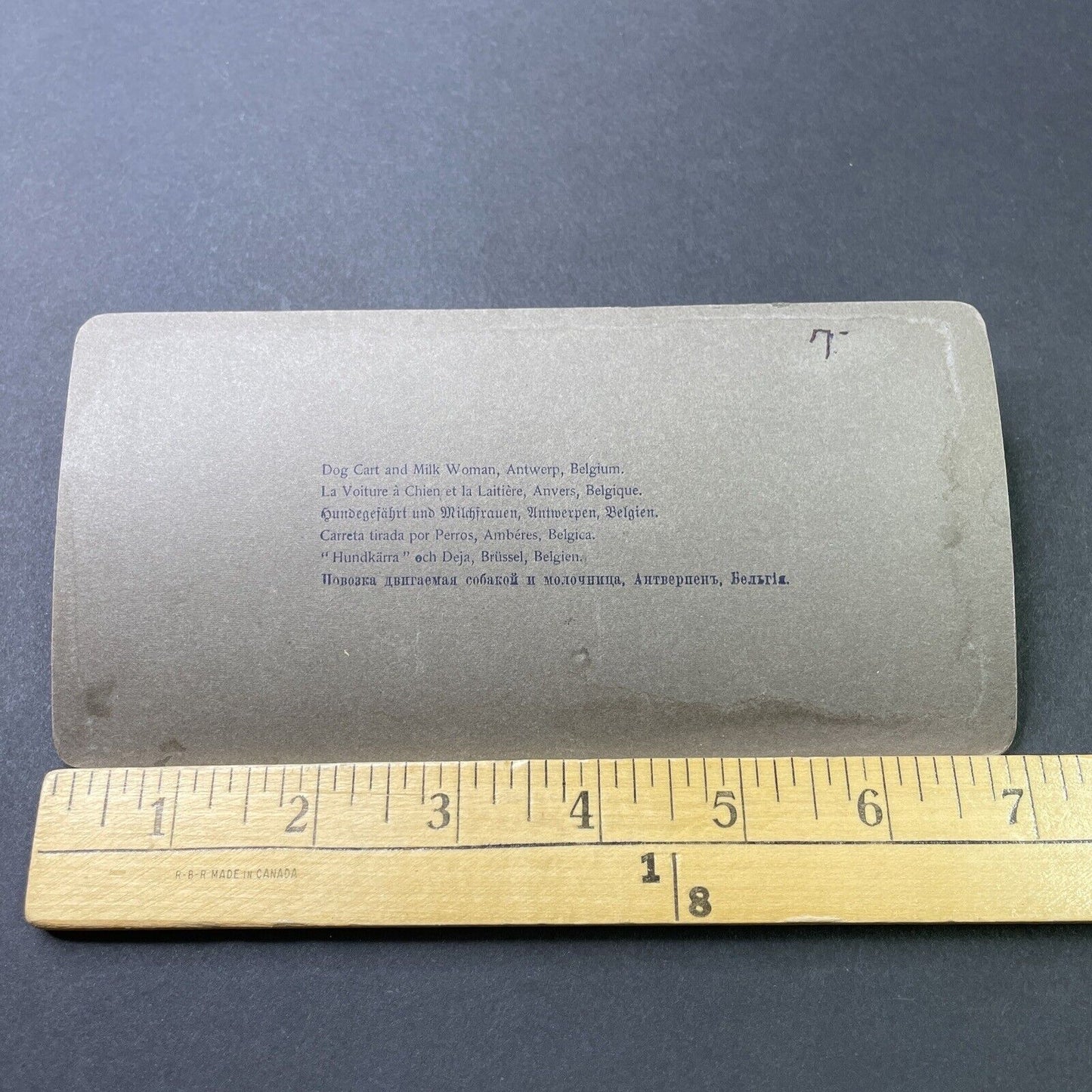 Antique 1889 Woman In Dog Led Milk Chariot Belgium Stereoview Photo Card P3044