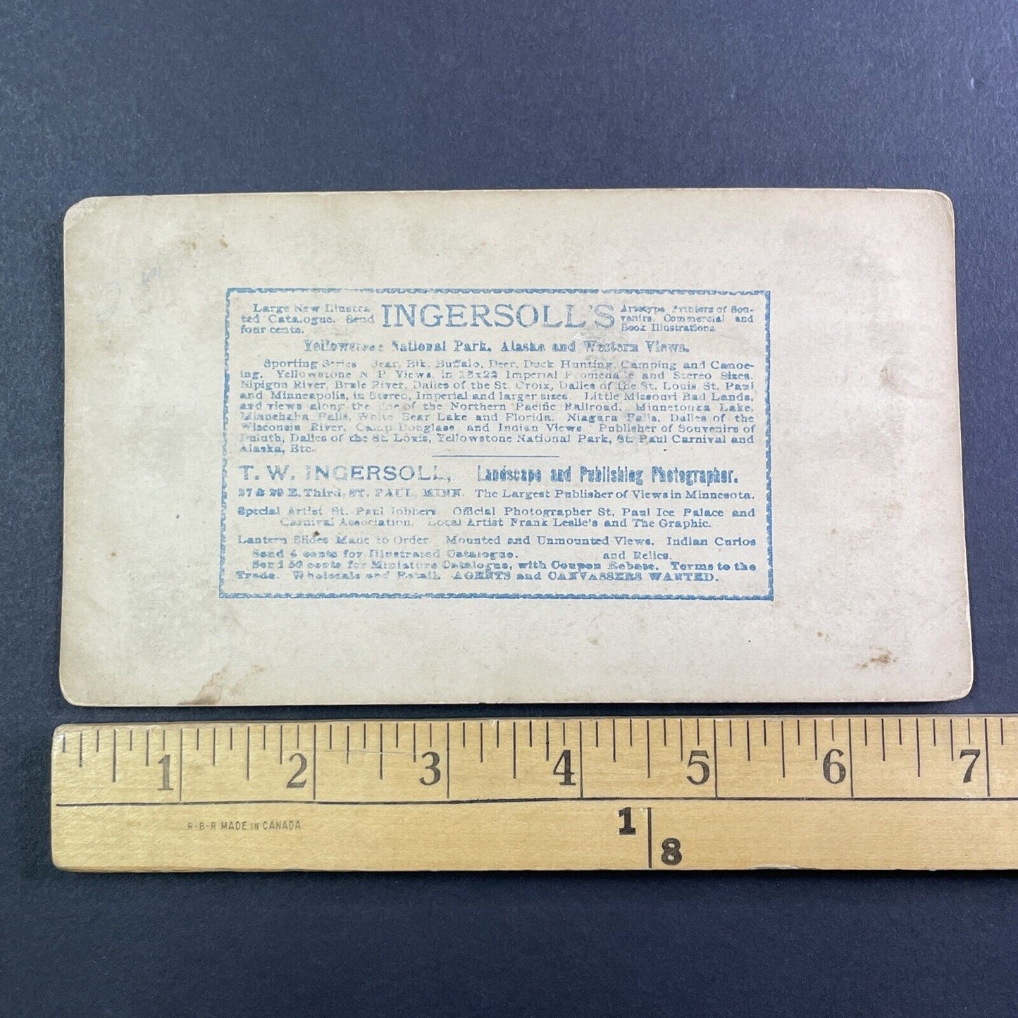 Yellowstone River Valley Railroad Stereoview Montana T.W. Ingersoll 1888 Y101