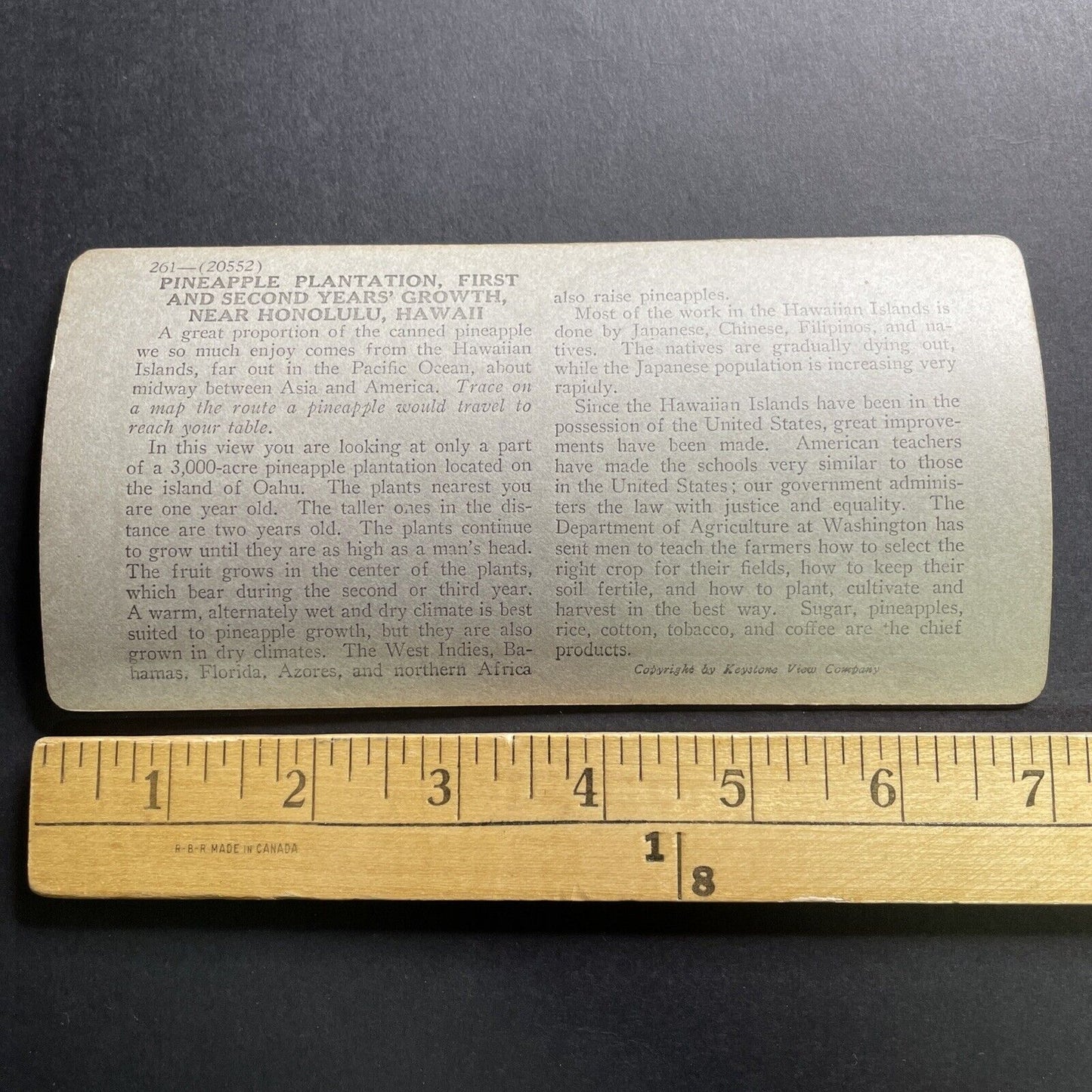 Antique 1918 Pineapple Plantation Honolulu Hawaii Stereoview Photo Card P1729