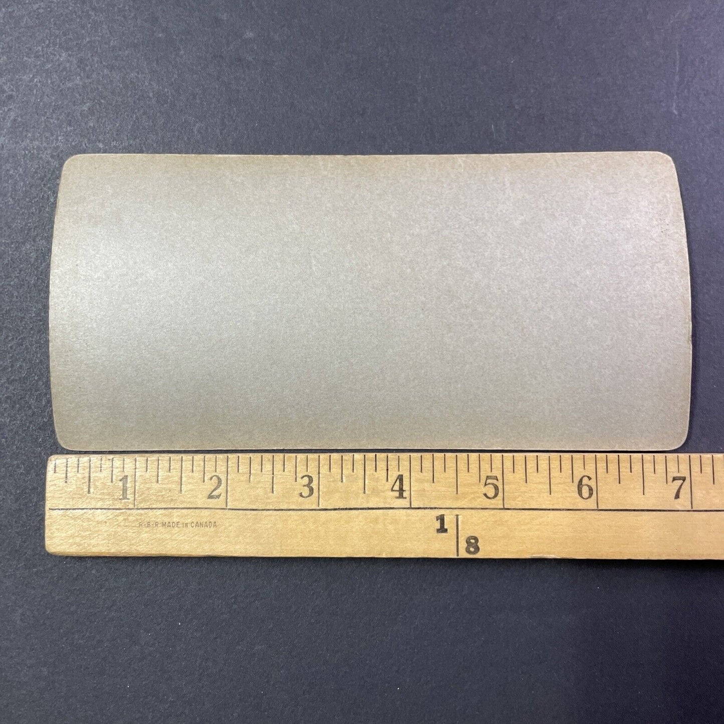 Alvan Tufts Fuller Stereoview Boar's Head Massachusetts Antique c1933 X2776