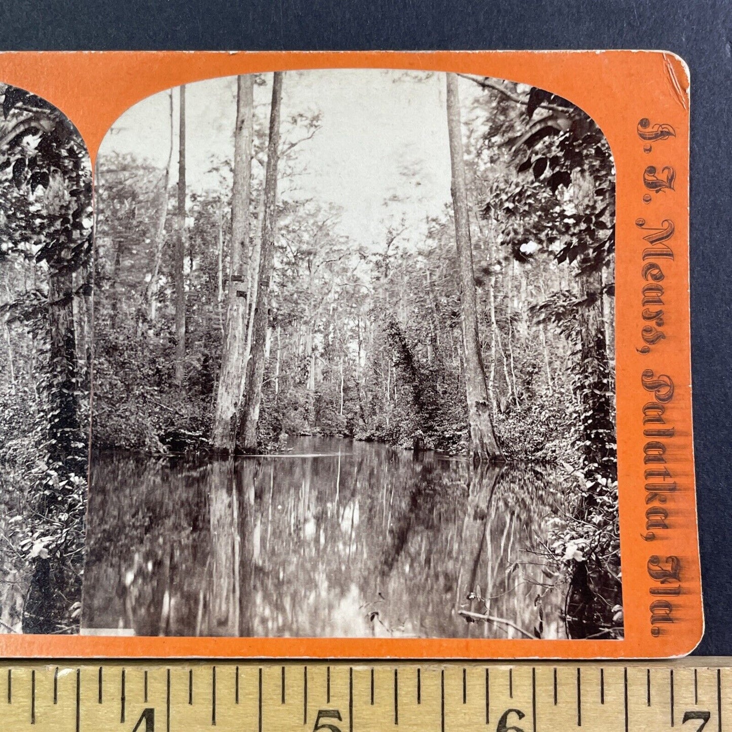 Ocklawaha River Eureka Florida Cypress Gate Stereoview JF Mears c1870 Y067