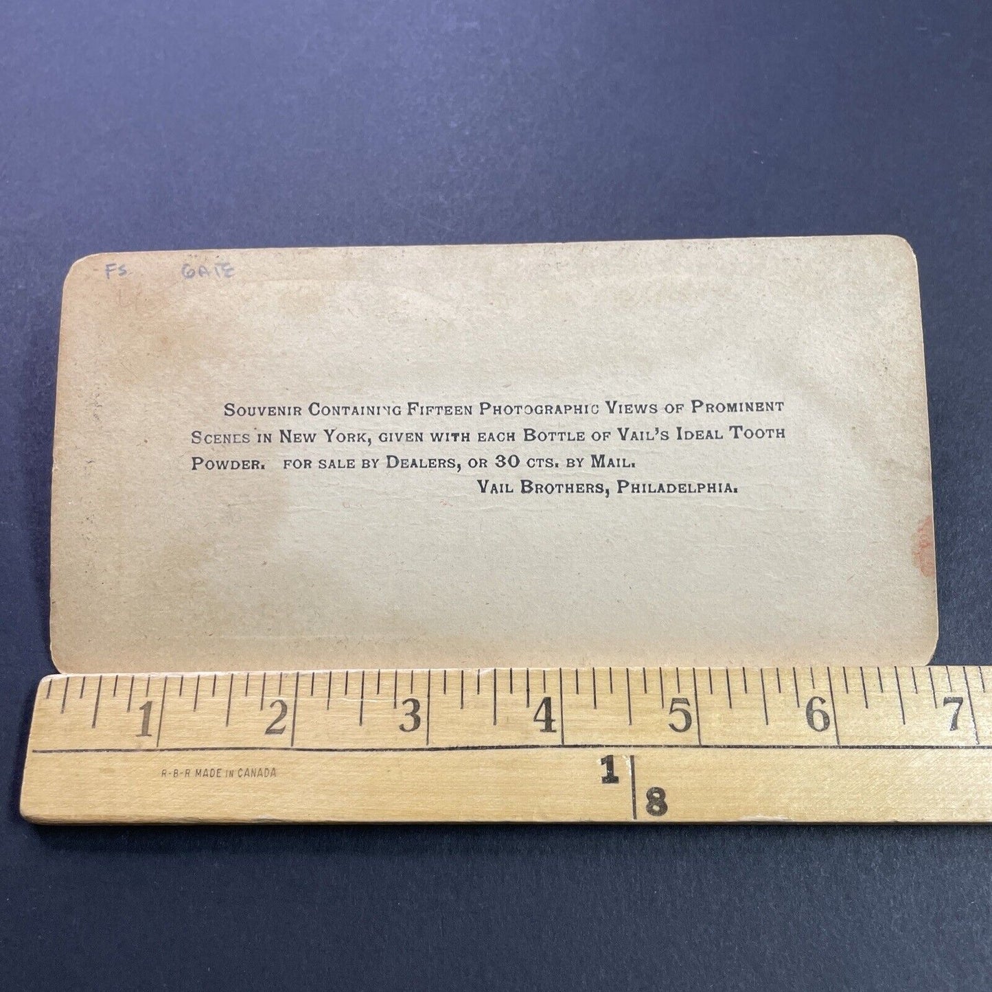 Antique 1860s Rich Women Hibernia Plantation Florida Stereoview Photo Card P4138