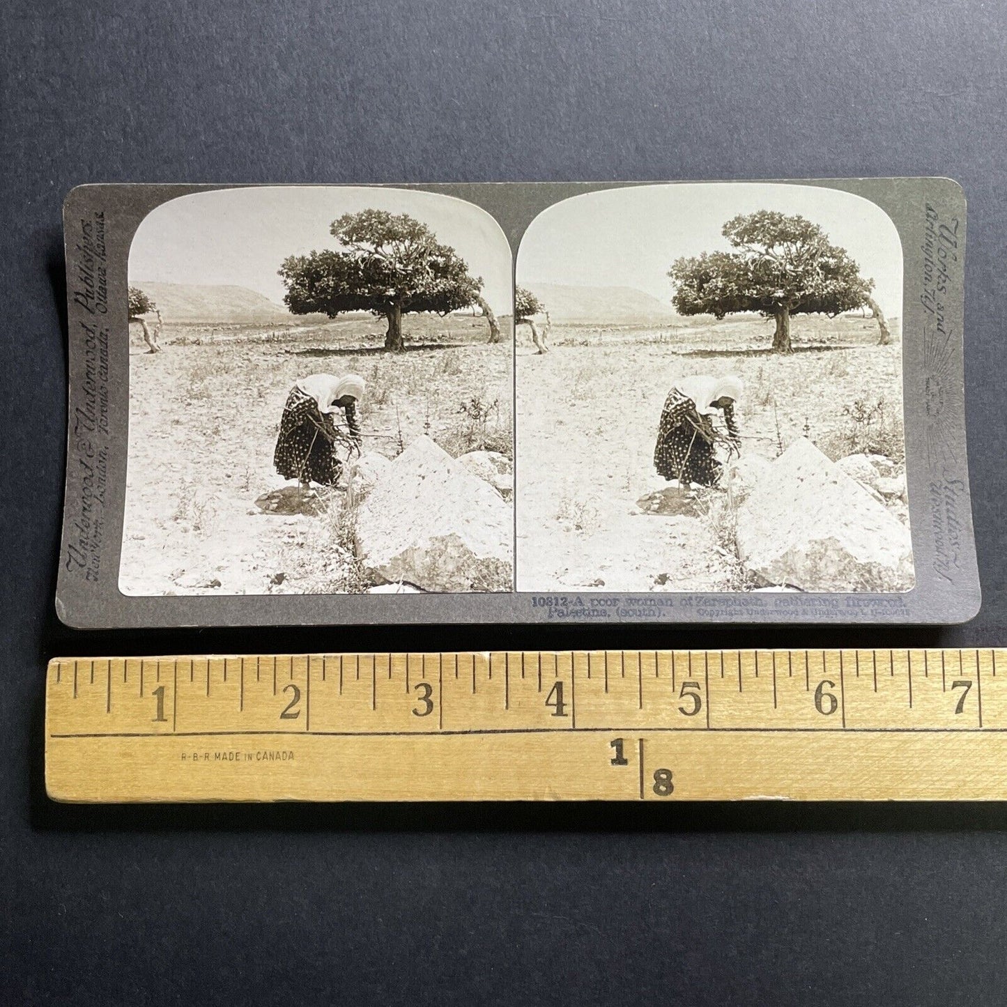 Antique 1905 Woman Gathers Wood Sarafand Lebanon Stereoview Photo Card P1740