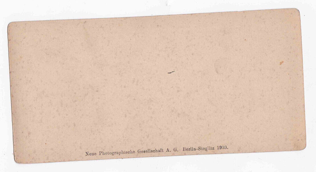 Antique 1903 Sooneck Castle On The Rhein Niederheimbach Germany Stereo Card P338