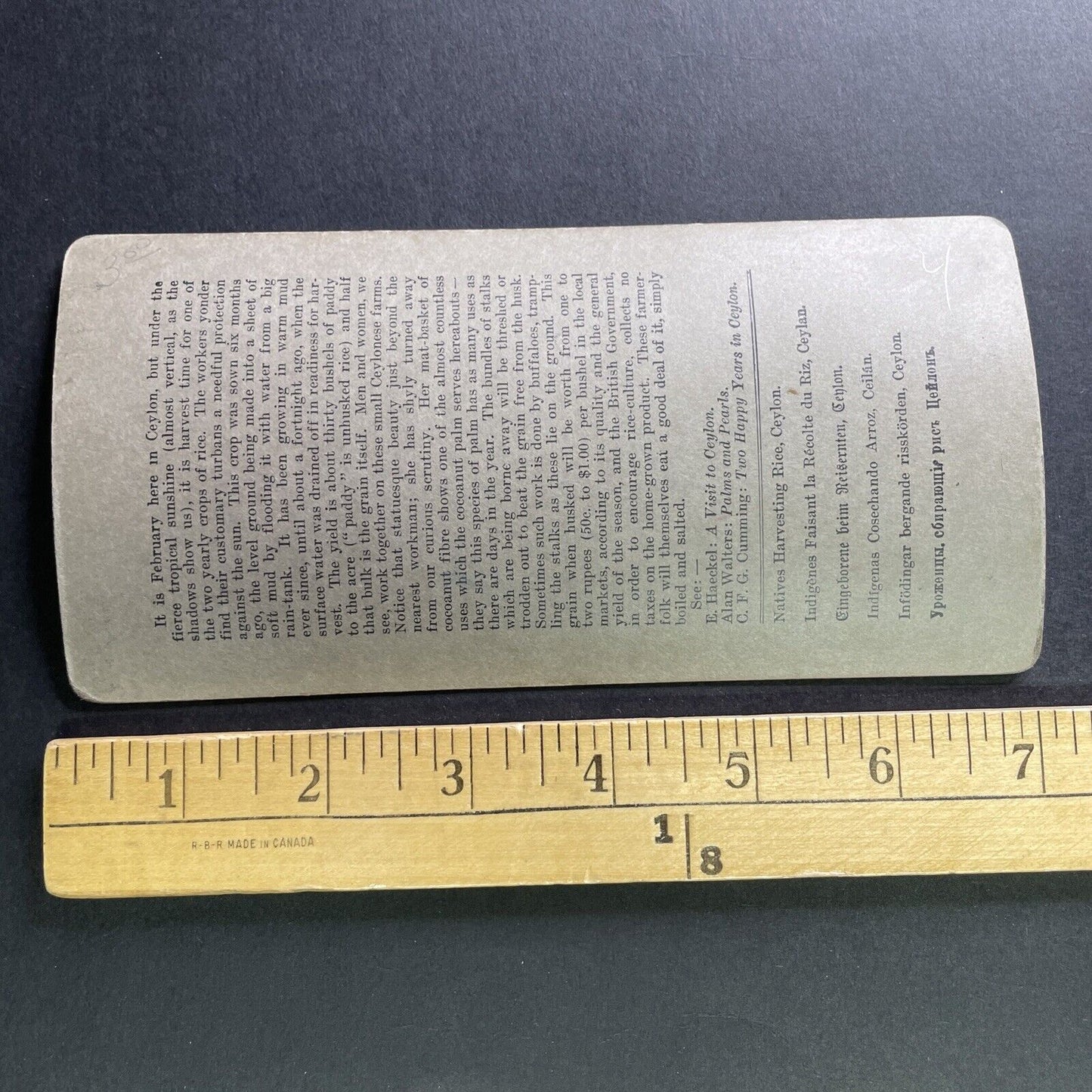 Antique 1905 Rice Farming In Sri Lanka Stereoview Photo Card P1754