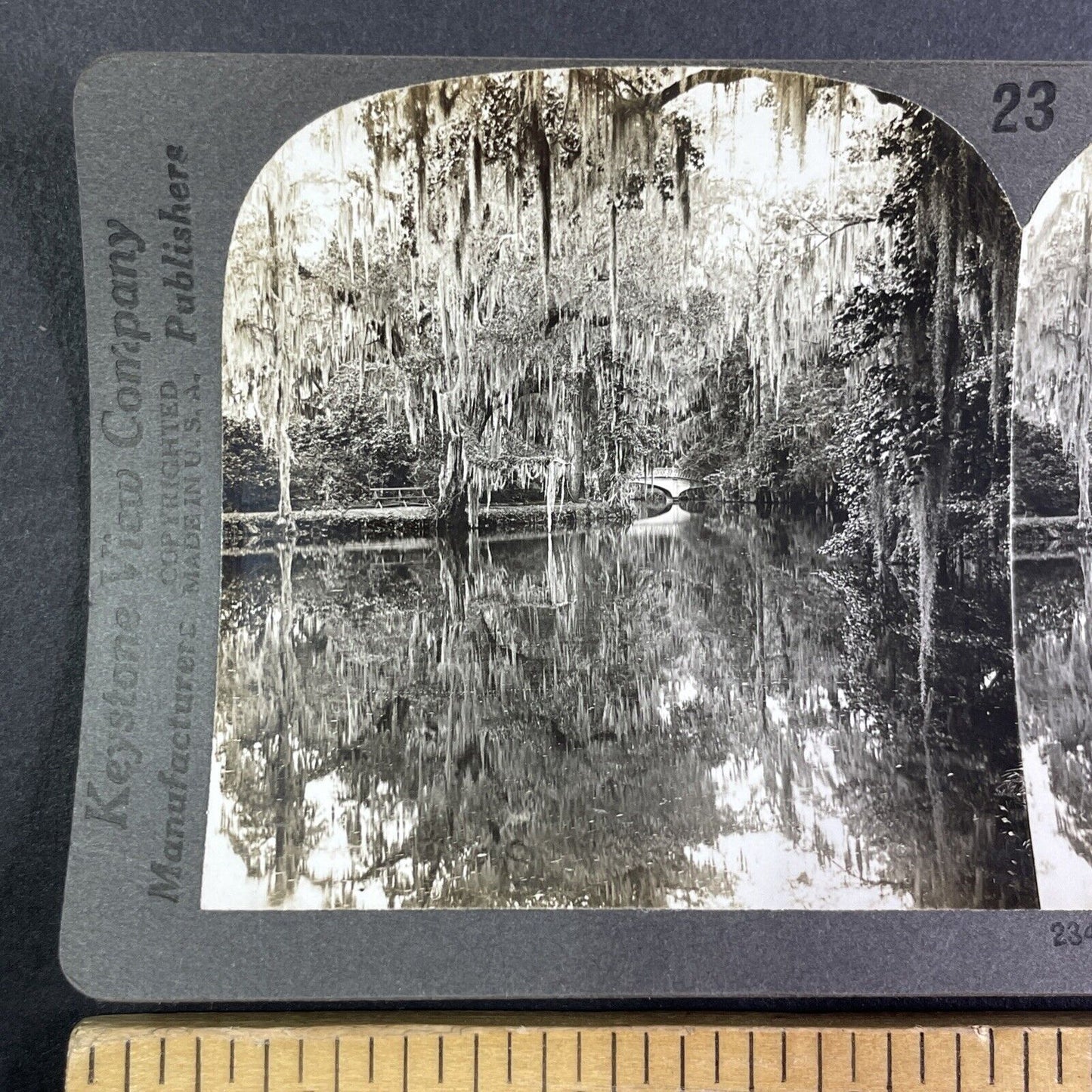 Magnolia Gardens Charleston South Carolina Stereoview Antique c1910s Y1161
