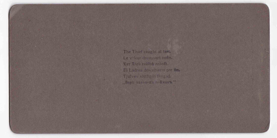 Antique 1902 A Pig Milking A Cow 'The Thief Caught At Last' Stereo Card P392