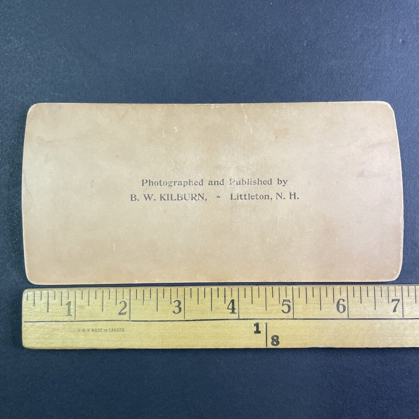 Zebra Zoo in Adelaide Australia Stereoview James M. Davis Antique c1904 Y1150