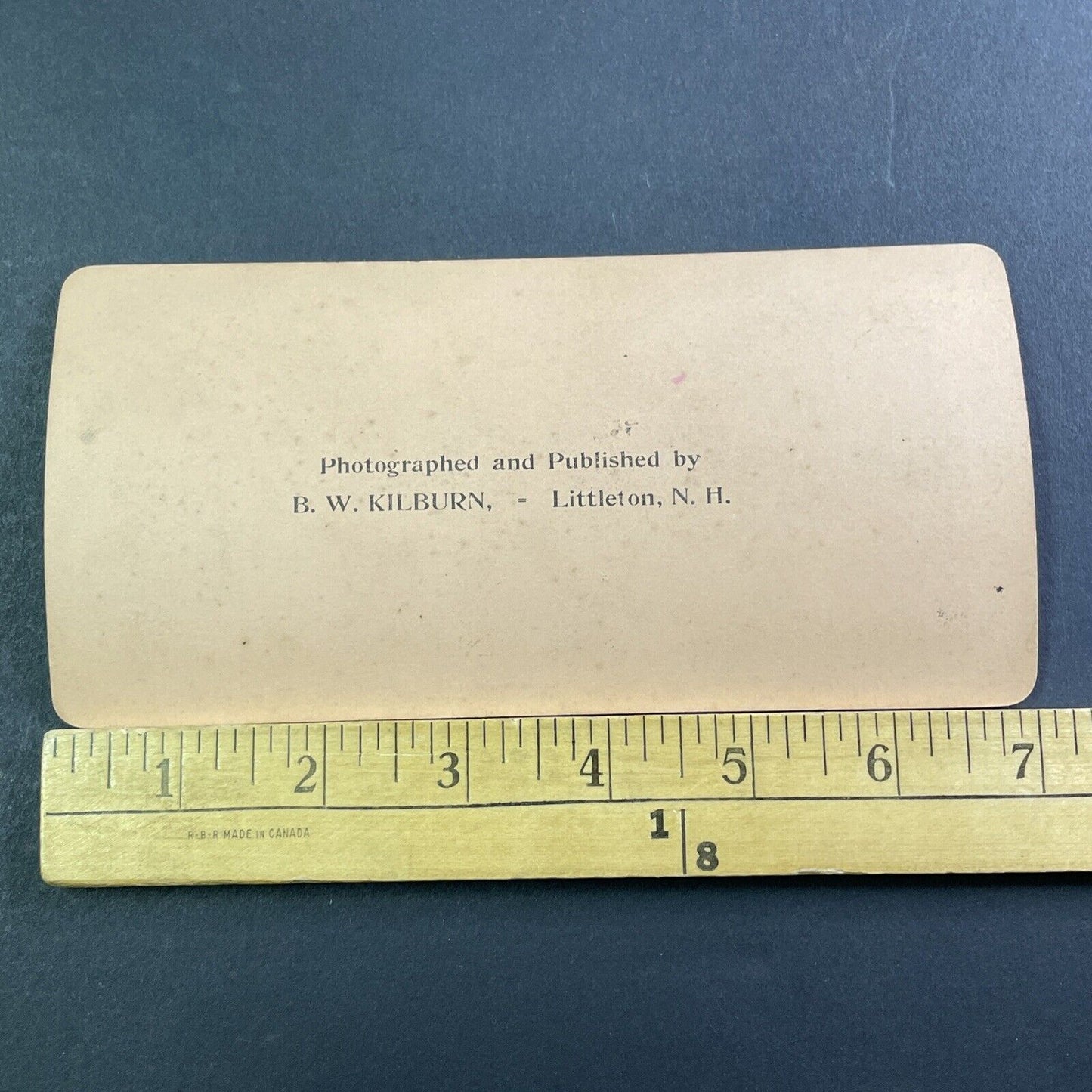 Triumph Of Frederick Henry Prince Of Orange Stereoview Antique c1903 X2459