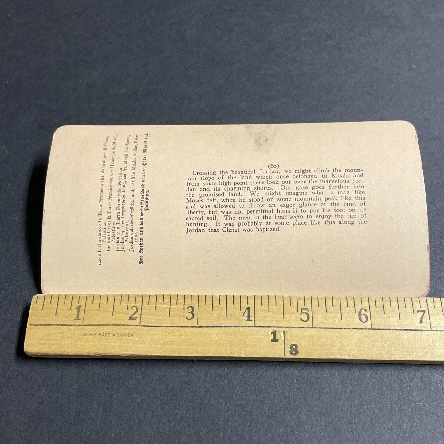 Antique 1900 Duck Hunting On The Jordan River Stereoview Photo Card P4457