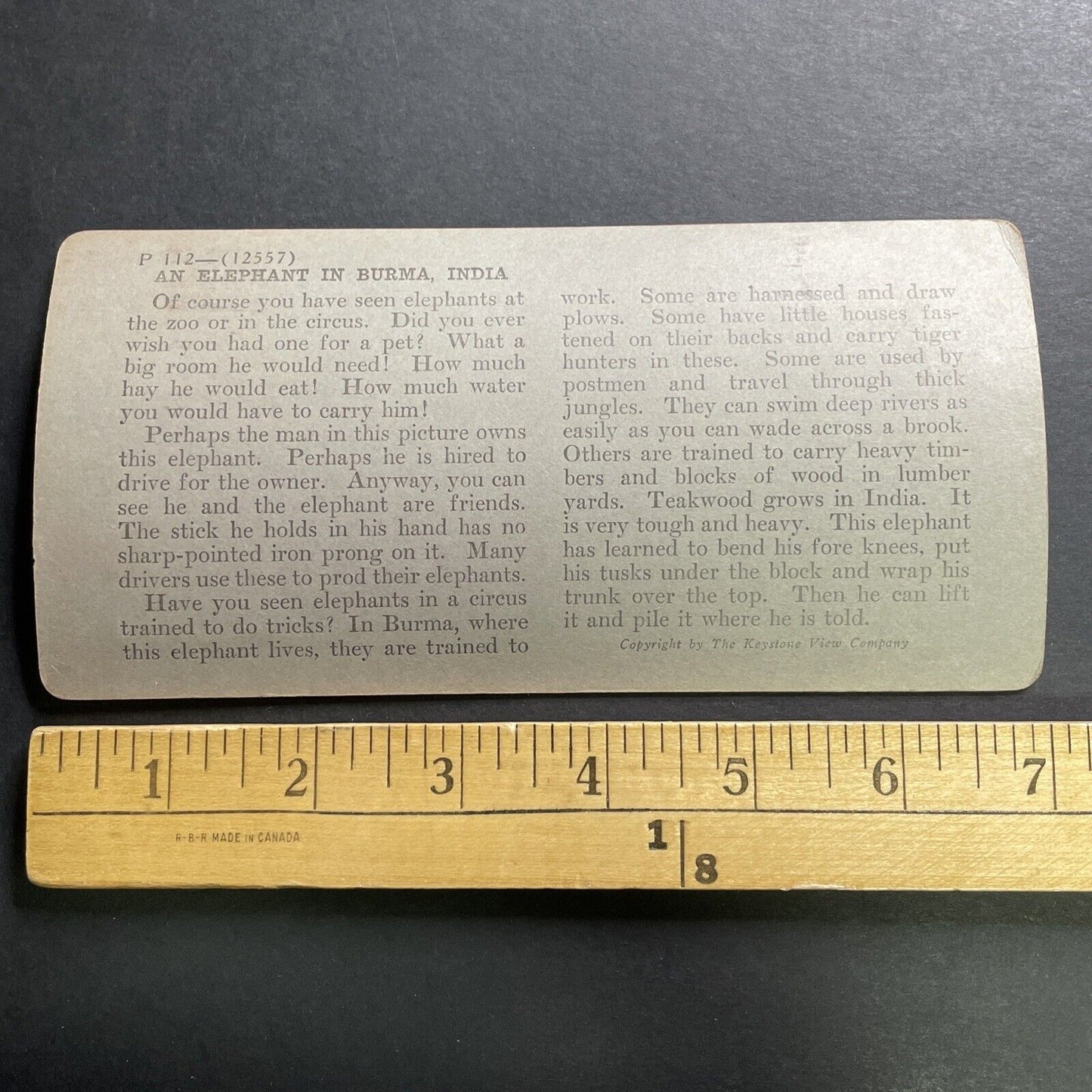 Antique 1918 Elephant Works At Brick Factory Yangon Stereoview Photo Card P1434